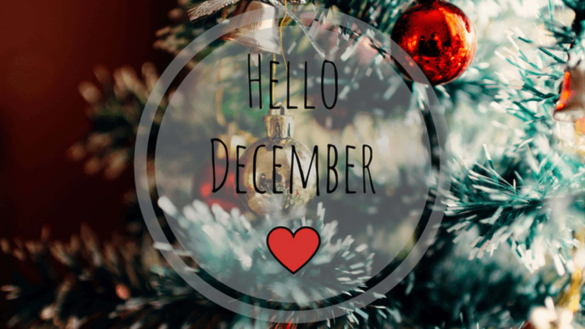 Hello December, Christmas tree, translucent circle overlay, Full HD Desktop Wallpaper