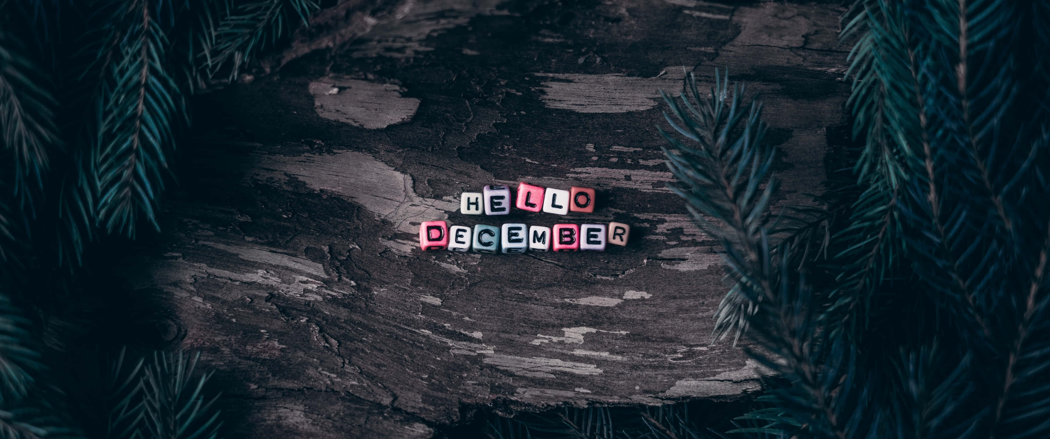 Hello December, wooden surface, weathered wooden surface, 2K Desktop Wallpaper