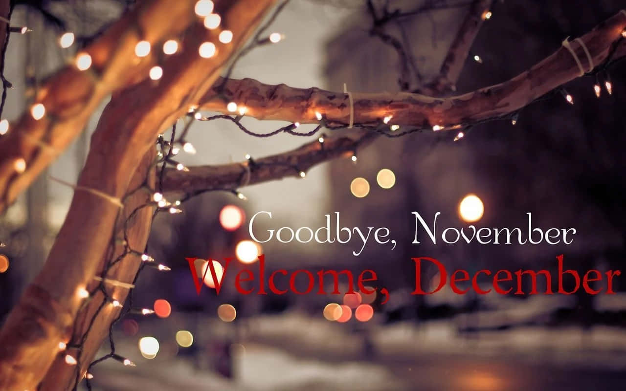 December, holiday lights, fairy lights, HD Desktop Wallpaper