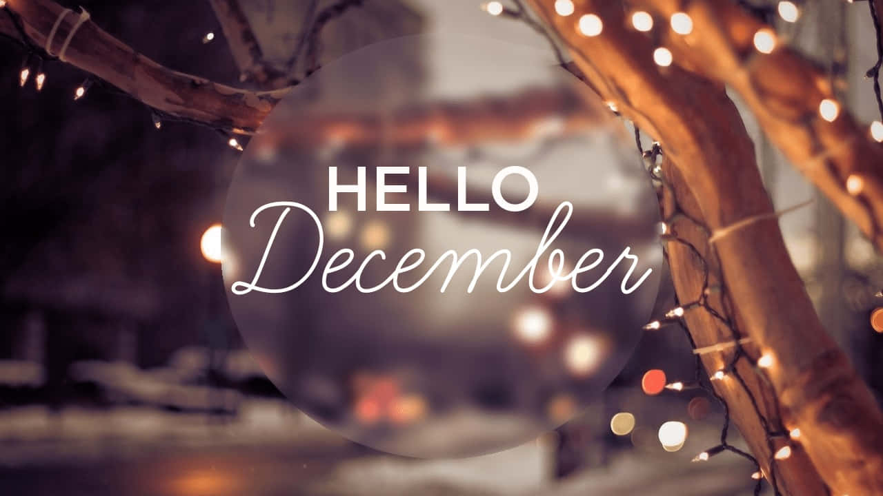 Hello December, winter lights, bare tree branches, HD Desktop Wallpaper