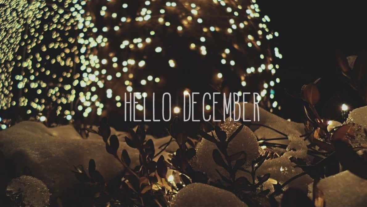 Hello December, winter lights, fairy lights, SD Desktop Wallpaper