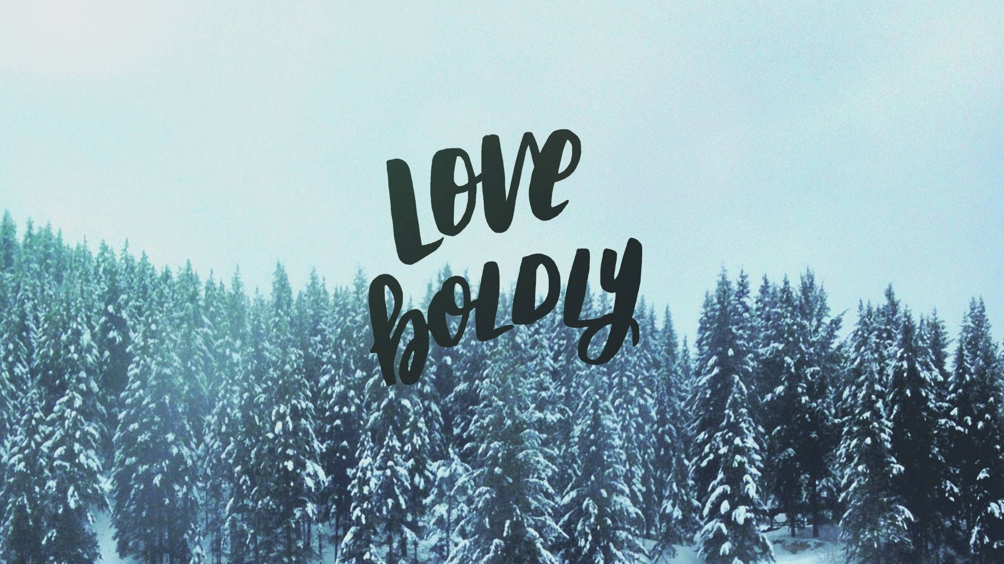 December, snow, evergreen trees, Full HD Desktop Wallpaper