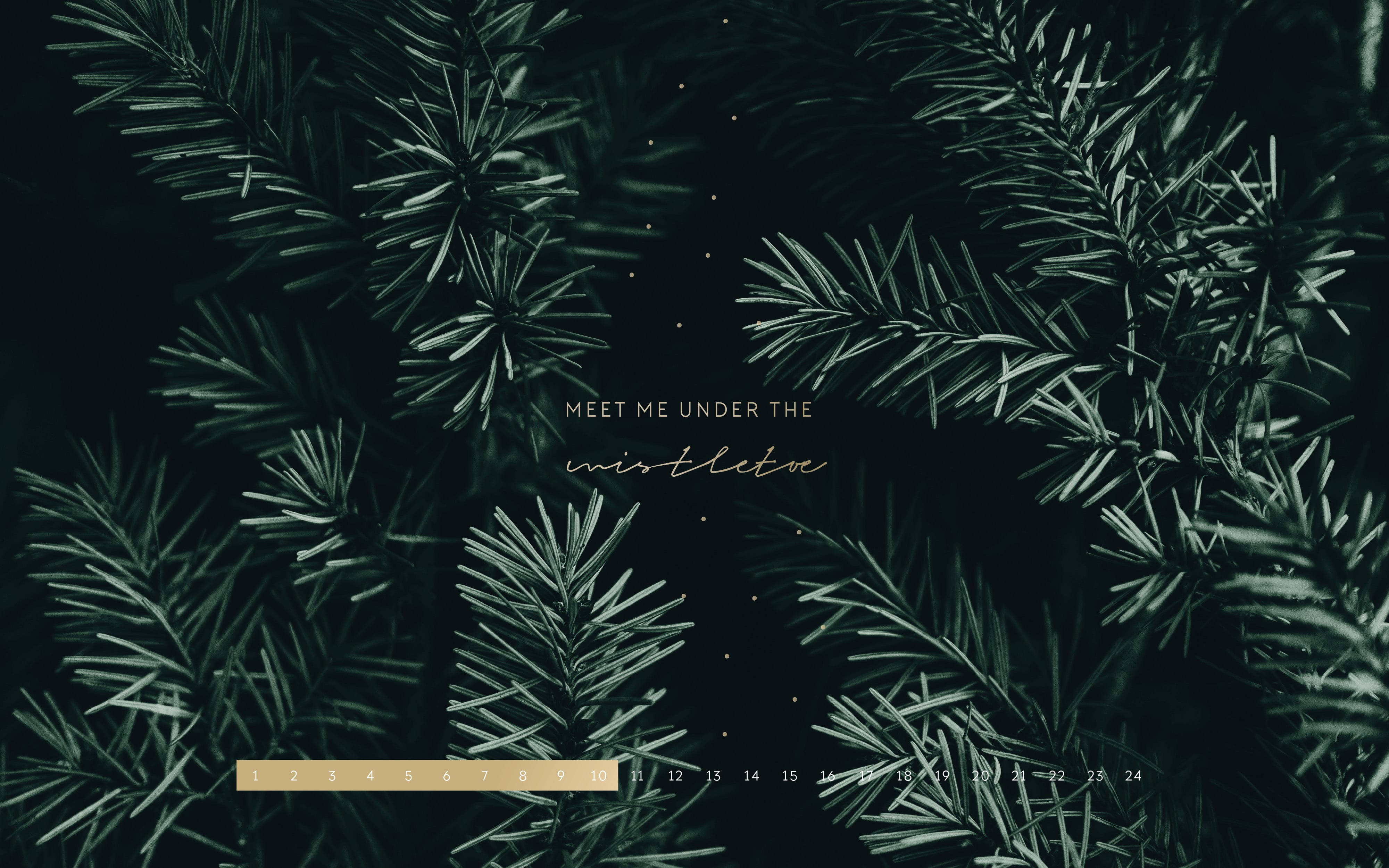 December, mistletoe, starry night sky, 4K Desktop Wallpaper