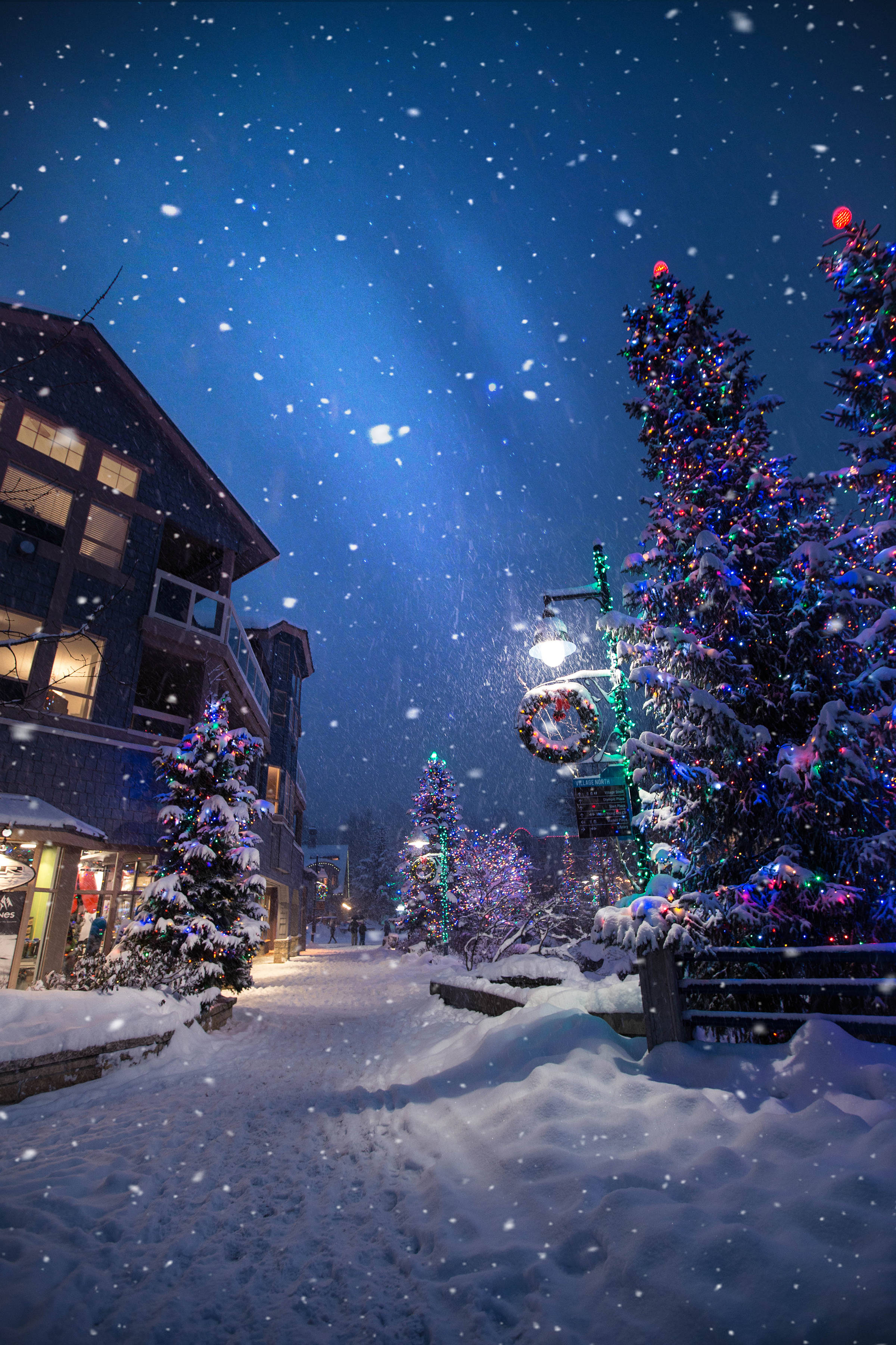 snowy christmas village, starlit night, snow-covered trees, 2K Phone Wallpaper