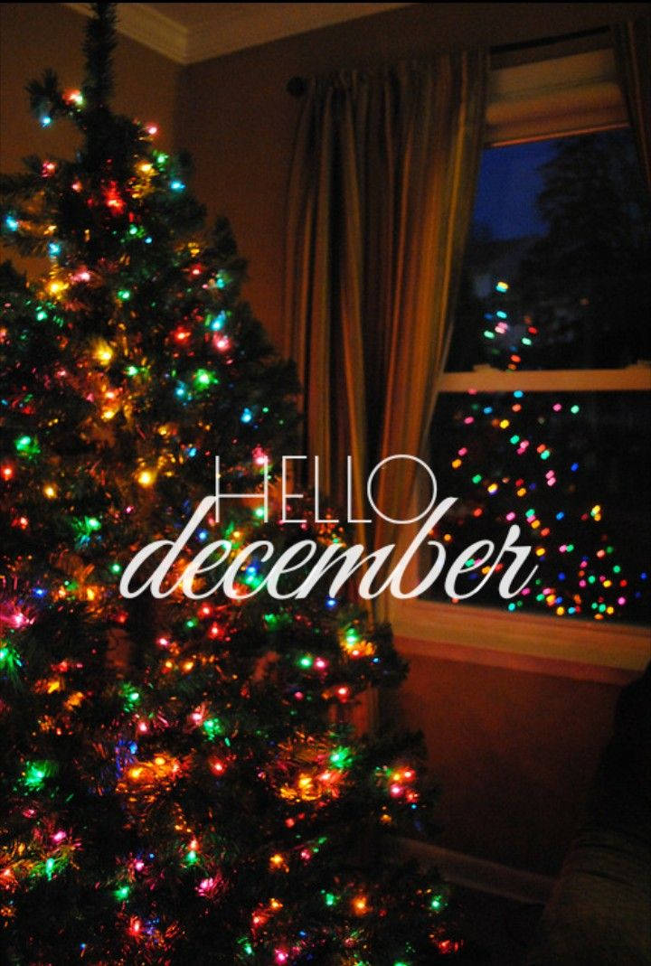 Hello December, big Christmas tree, colorful lights, SD Phone Wallpaper