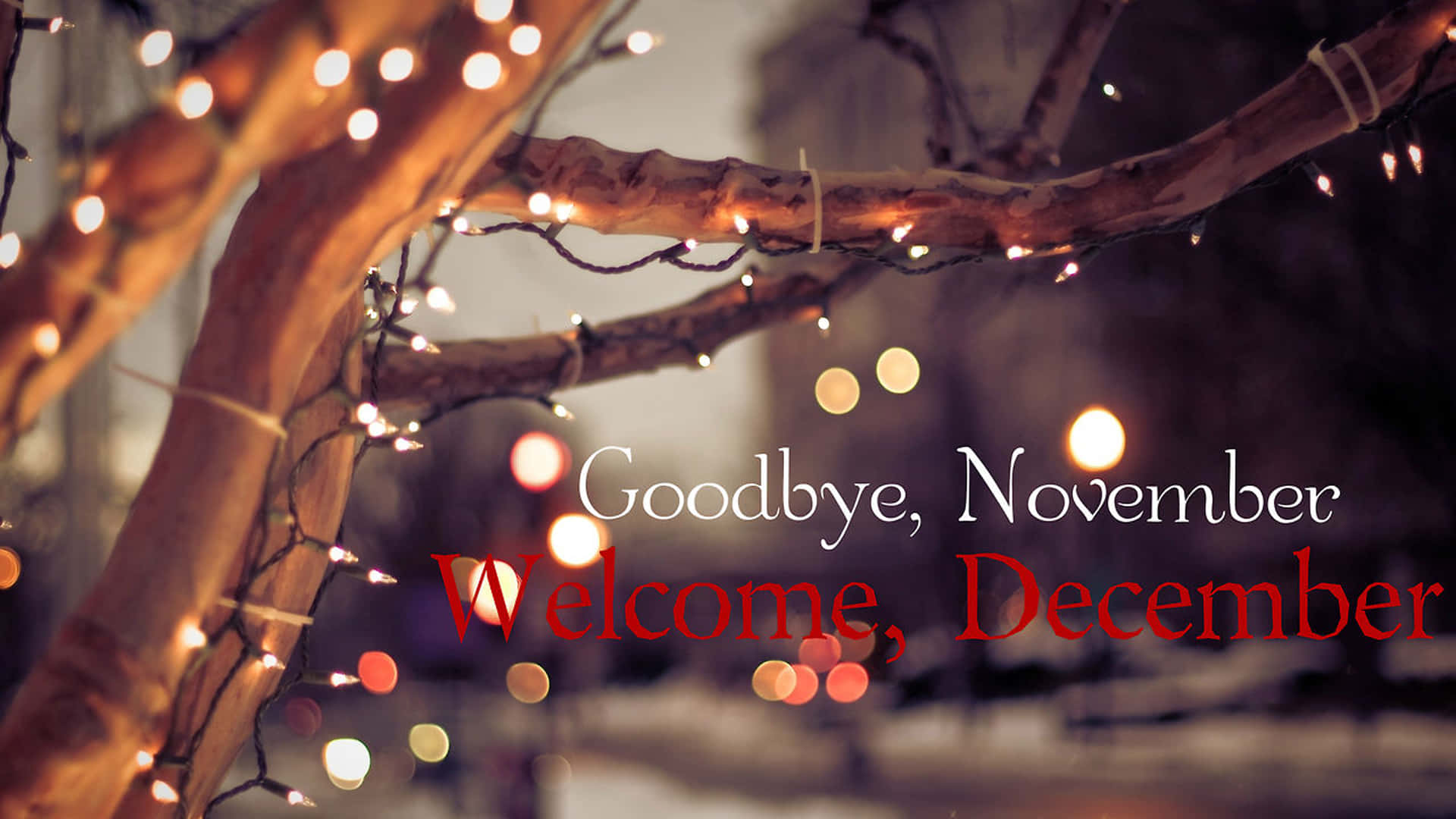 December, fairy lights, winter branches, Full HD Desktop Wallpaper