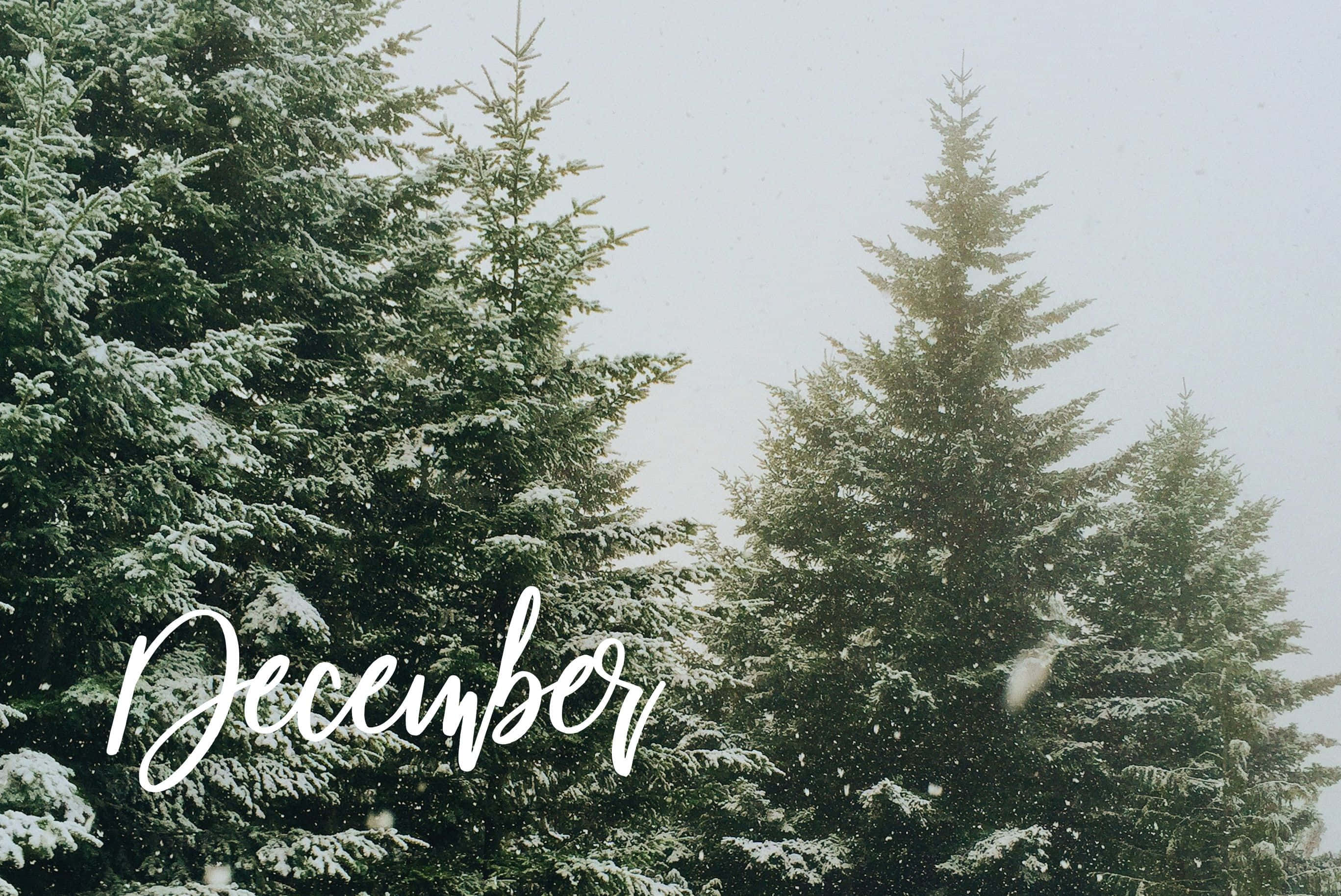 Christmas Aesthetic, Tumblr, computer screen, 2K Desktop Wallpaper