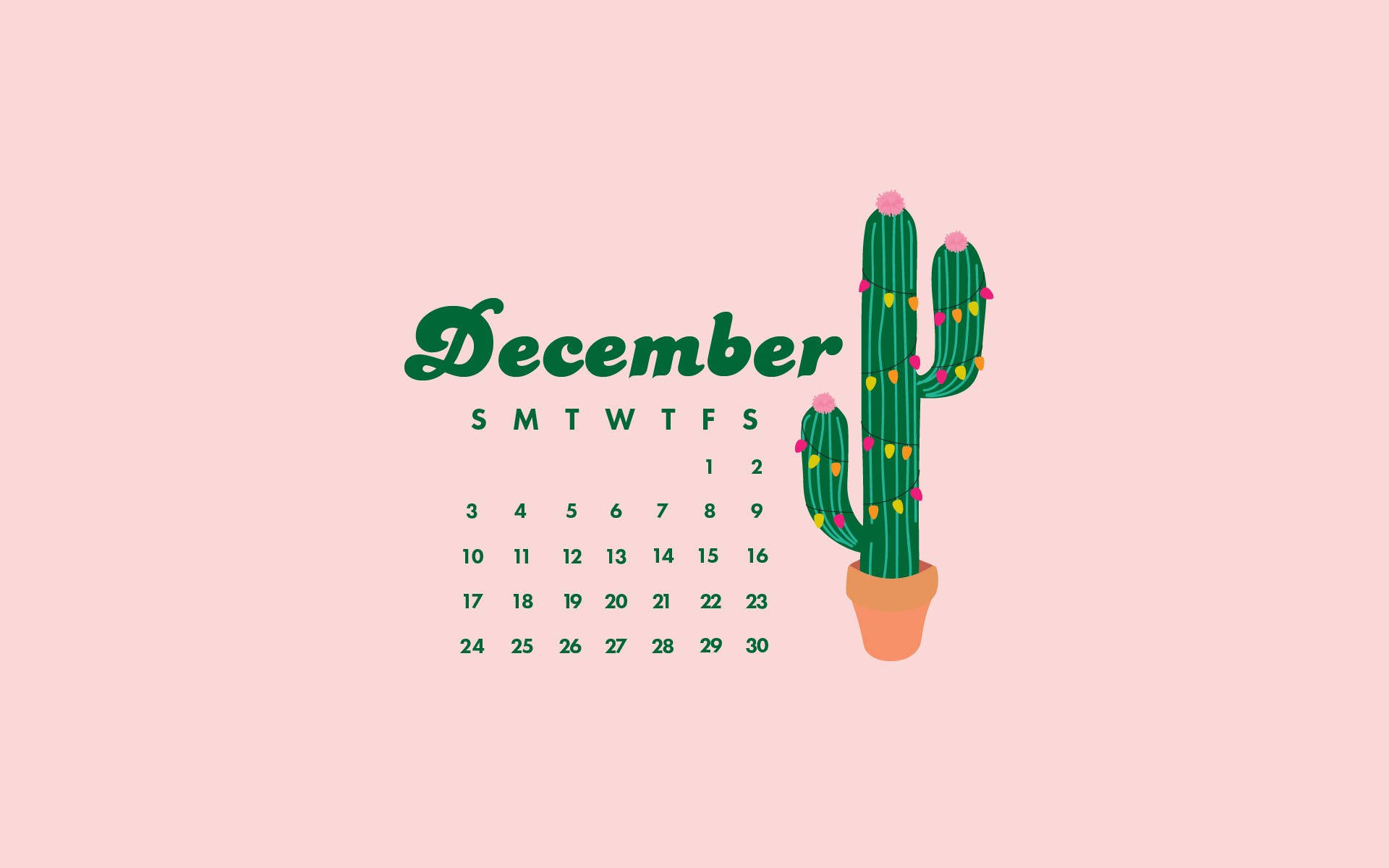 December, pink cactus, colorful lights, Full HD Desktop Wallpaper