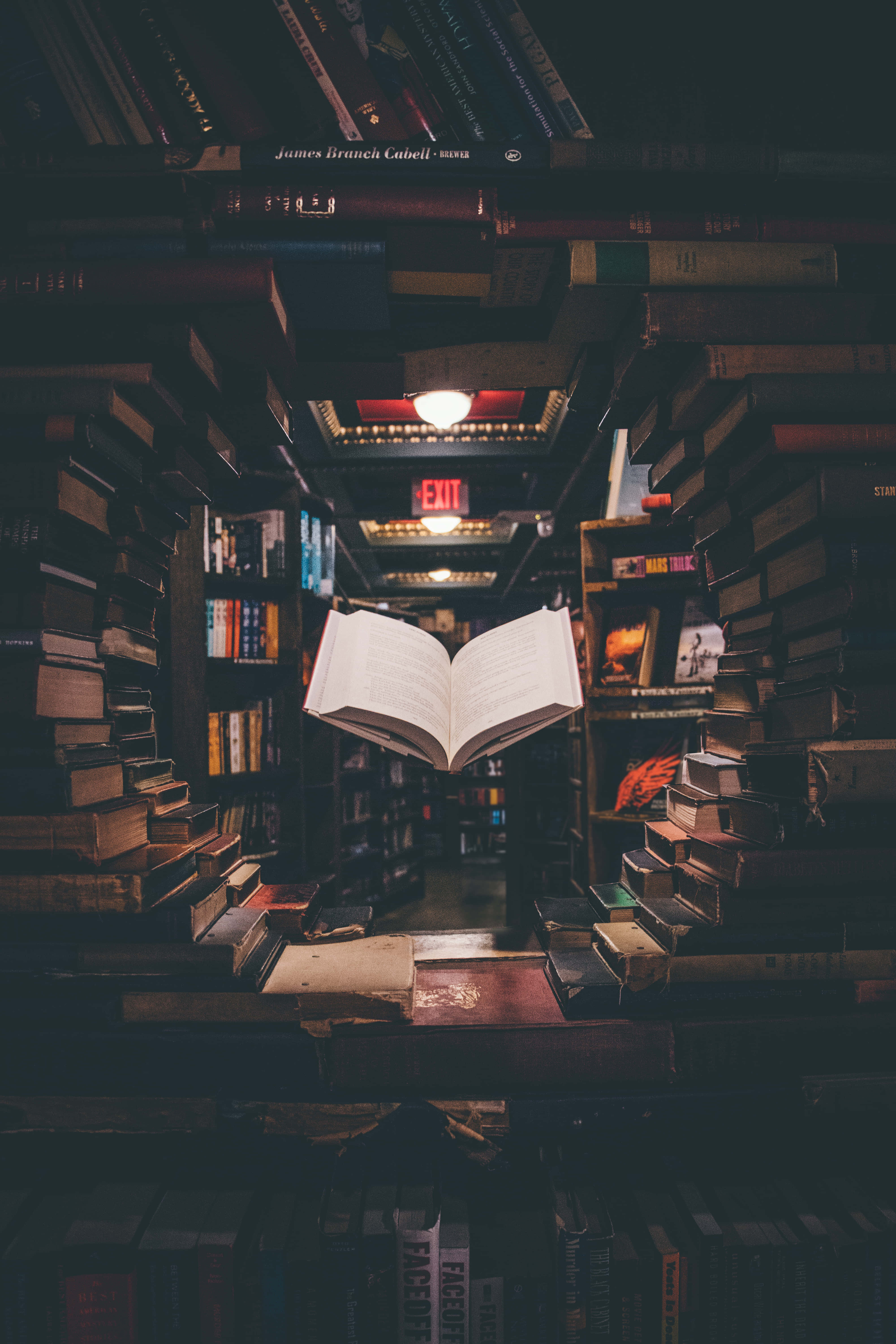 Deep in Thought, Educated Storyteller, open book, 5K Phone Wallpaper
