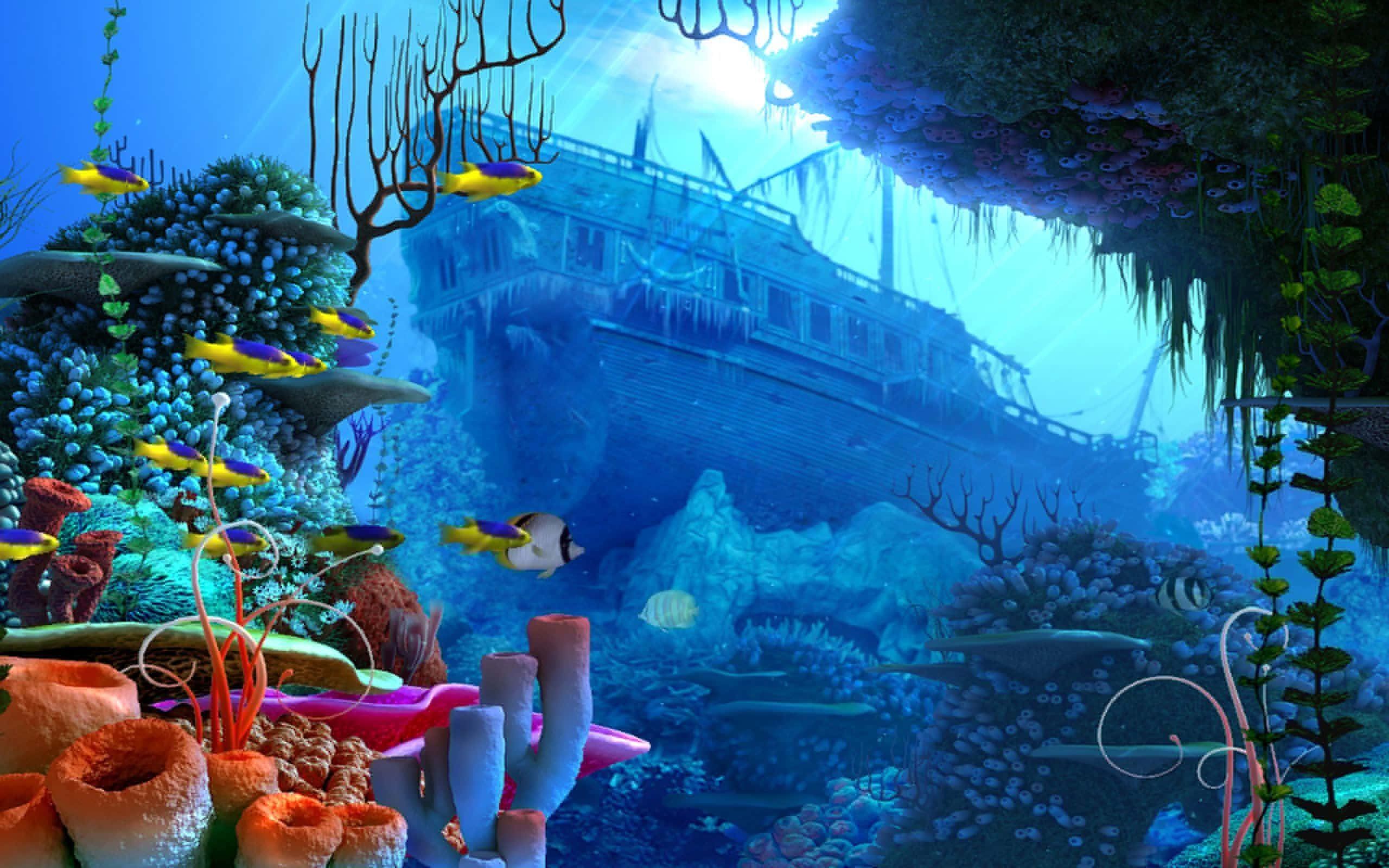 coral reef, colorful fish, sunken shipwreck, 2K Desktop Wallpaper