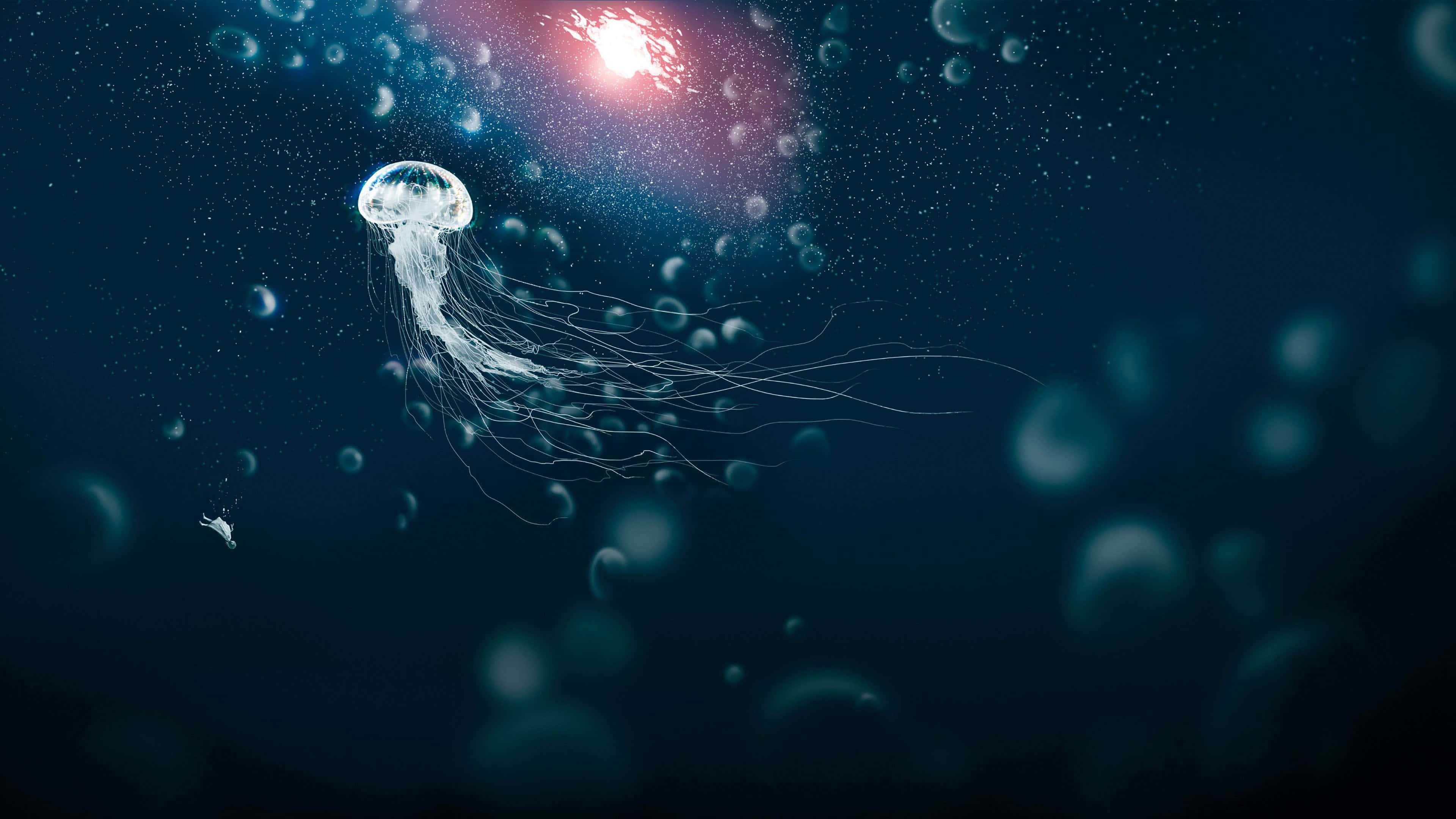 deep sea, glowing jellyfish, deep ocean waters, 4K Desktop Wallpaper