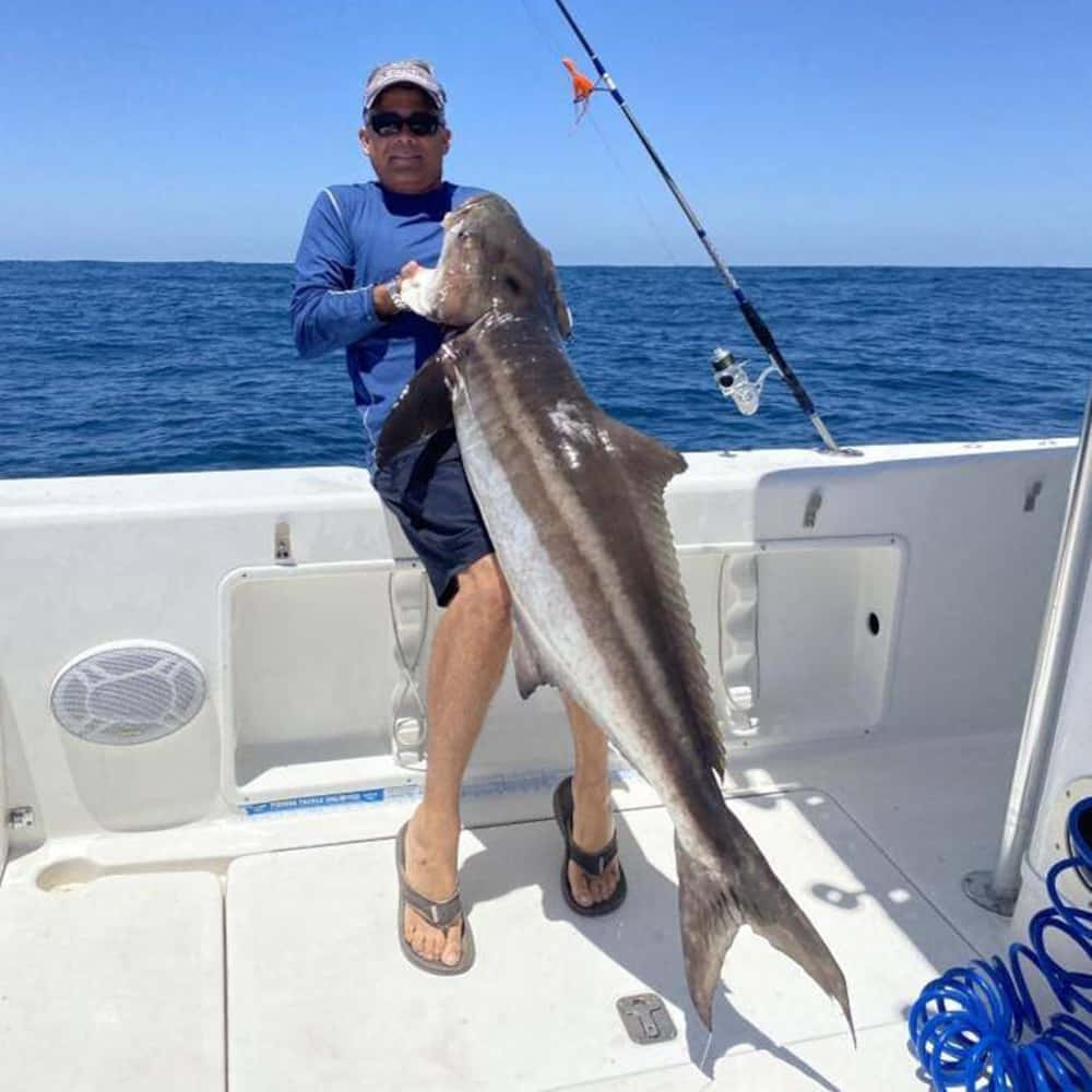 cobia fish, deep blue sea, white boat, SD Desktop Wallpaper