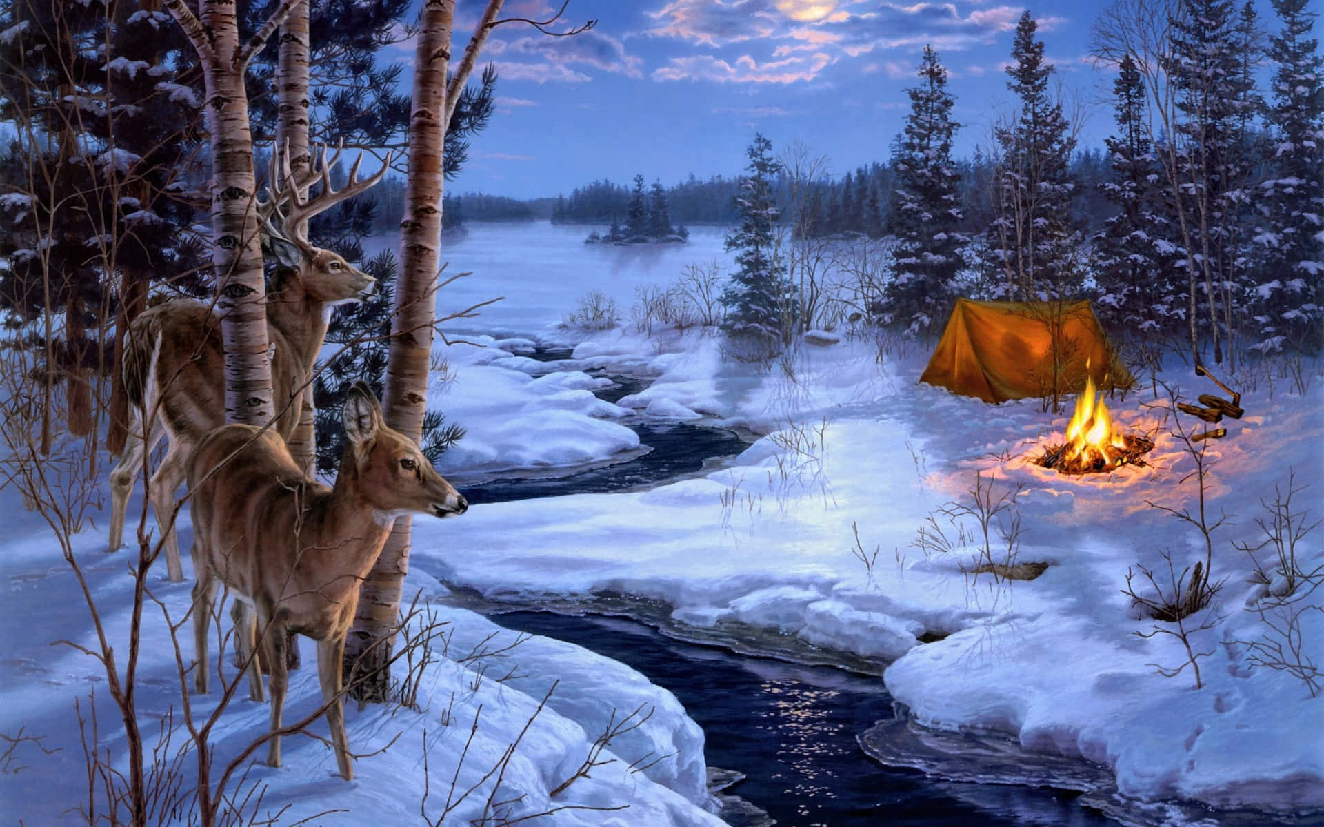 white-tailed deer, birch trees, snowy river, Full HD Desktop Wallpaper