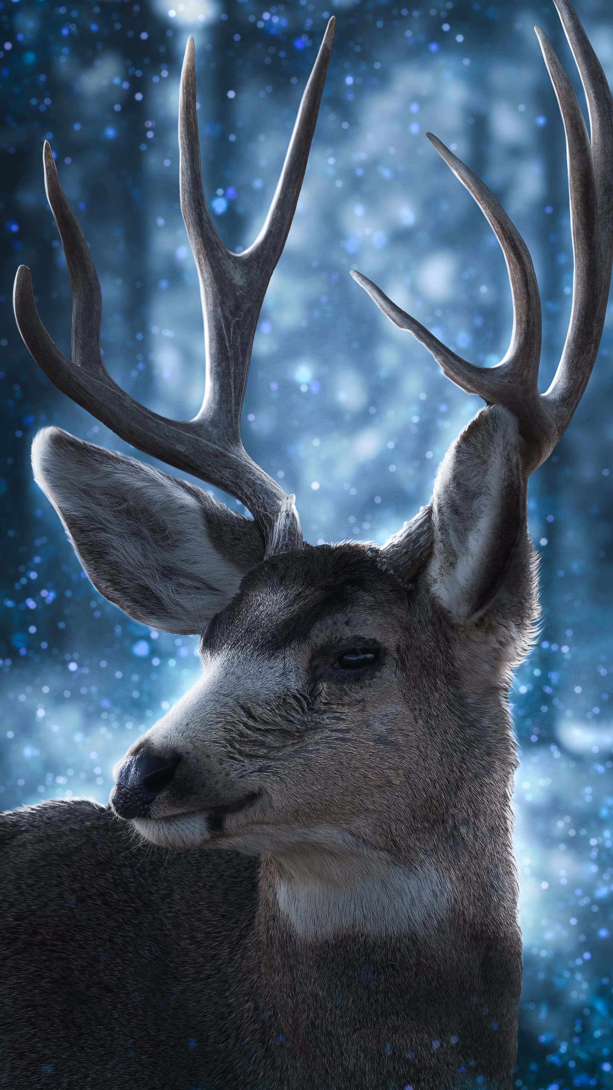 deer, green meadow, starry night, 2K Phone Wallpaper