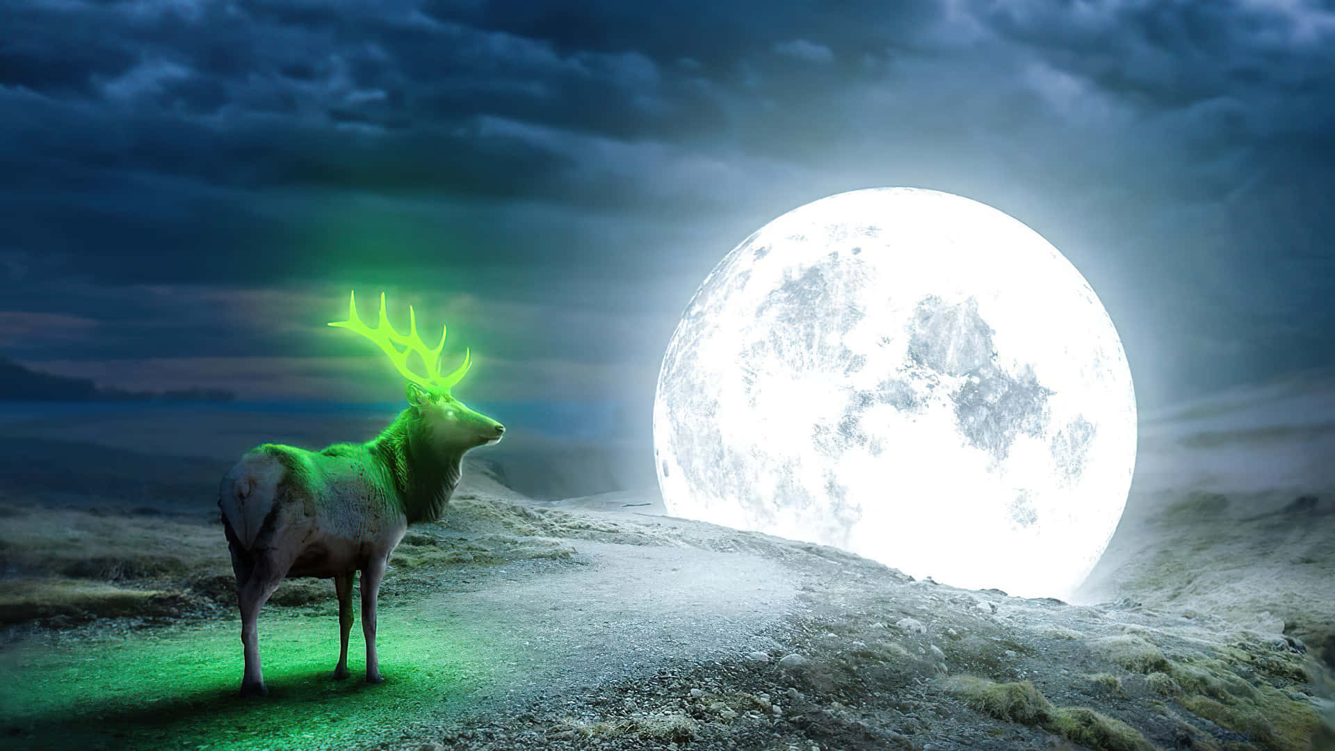 Deer Desktop, glowing green stag, full moon, Full HD Desktop Wallpaper