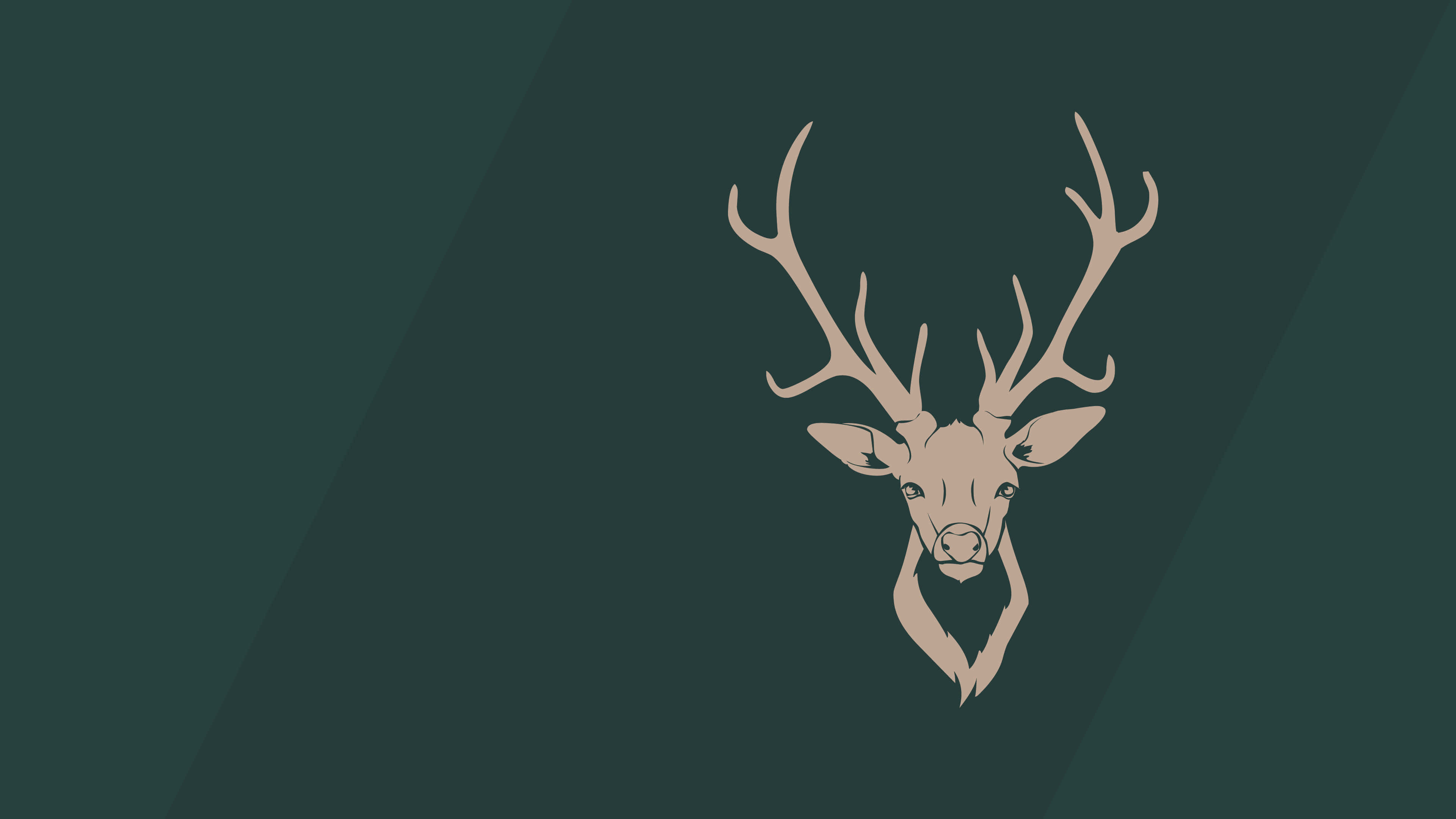 deer desktop, beige deer head, antlers, 4K Desktop Wallpaper
