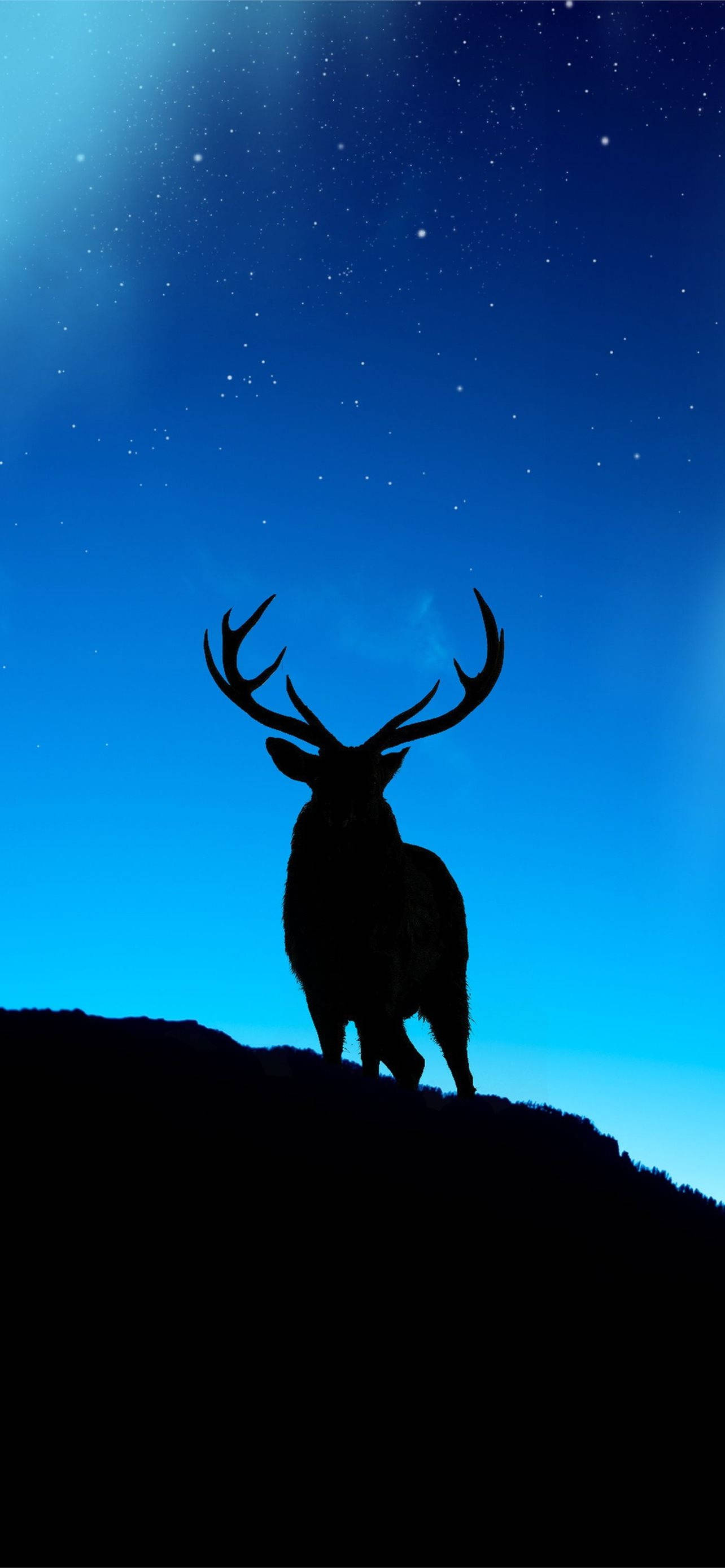 Deer iPhone, stag silhouette, hill, 2K Phone Wallpaper