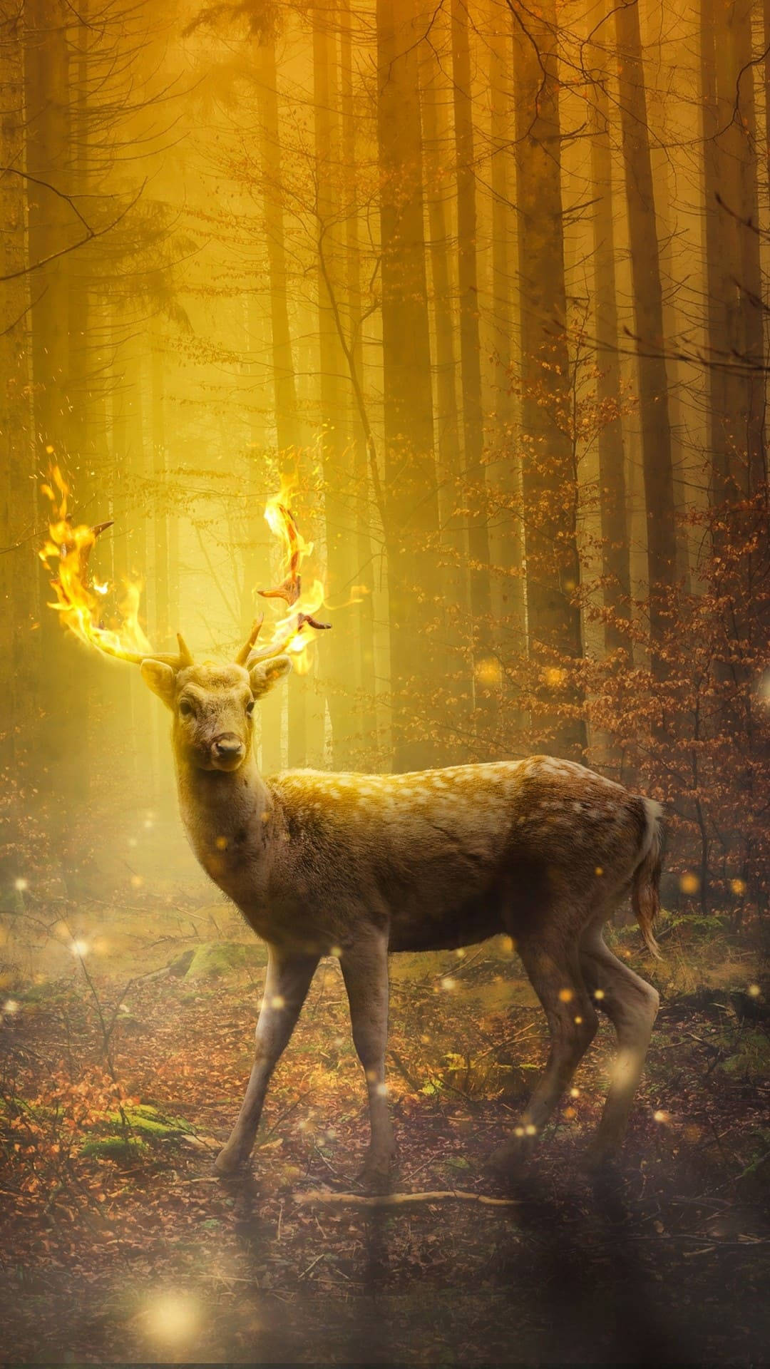 deer, fire in its antlers, golden autumn forest, Full HD Phone Wallpaper