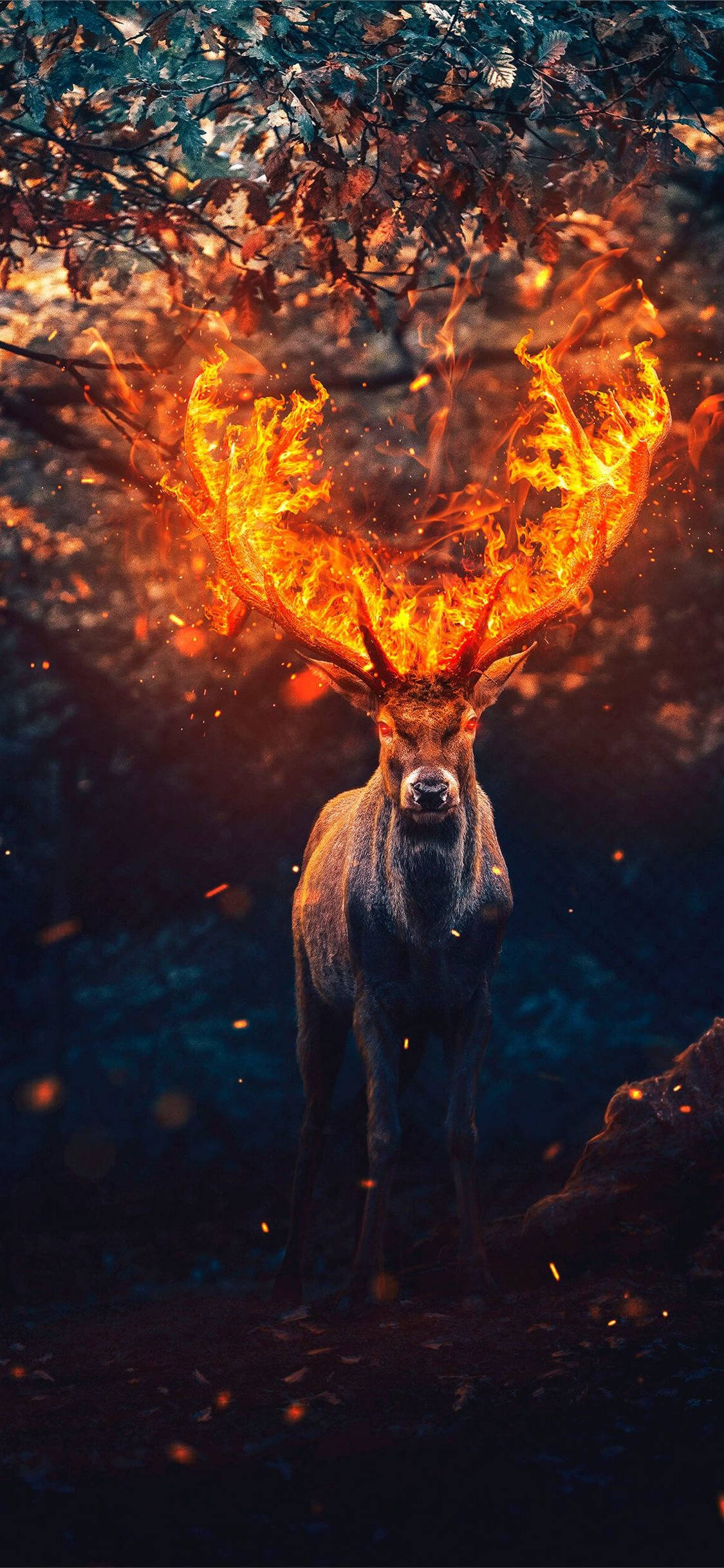 Deer iPhone, fiery antlers, dark forest, Full HD Phone Wallpaper