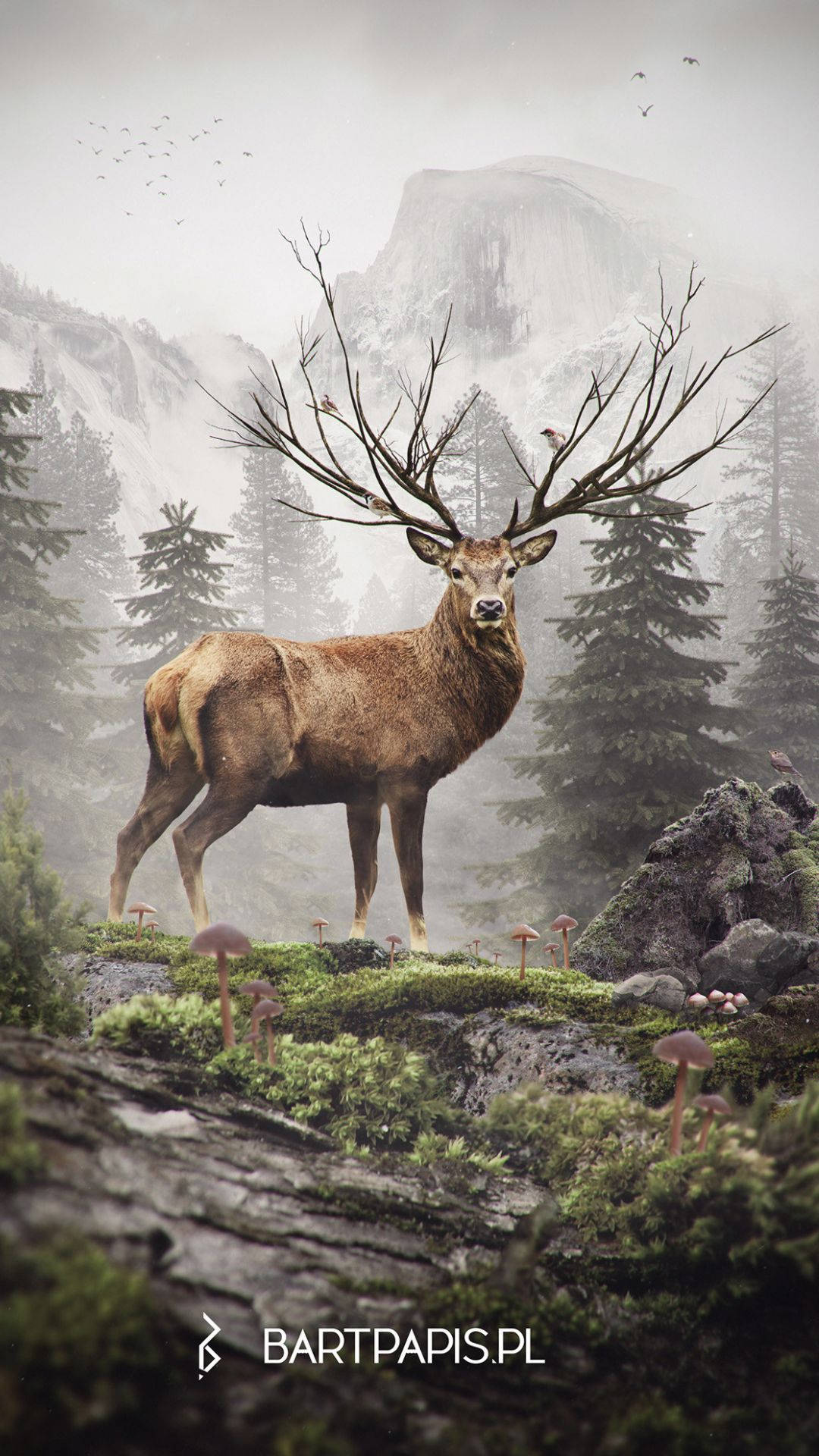 Deer iPhone, majestic deer, misty forest, Full HD Phone Wallpaper