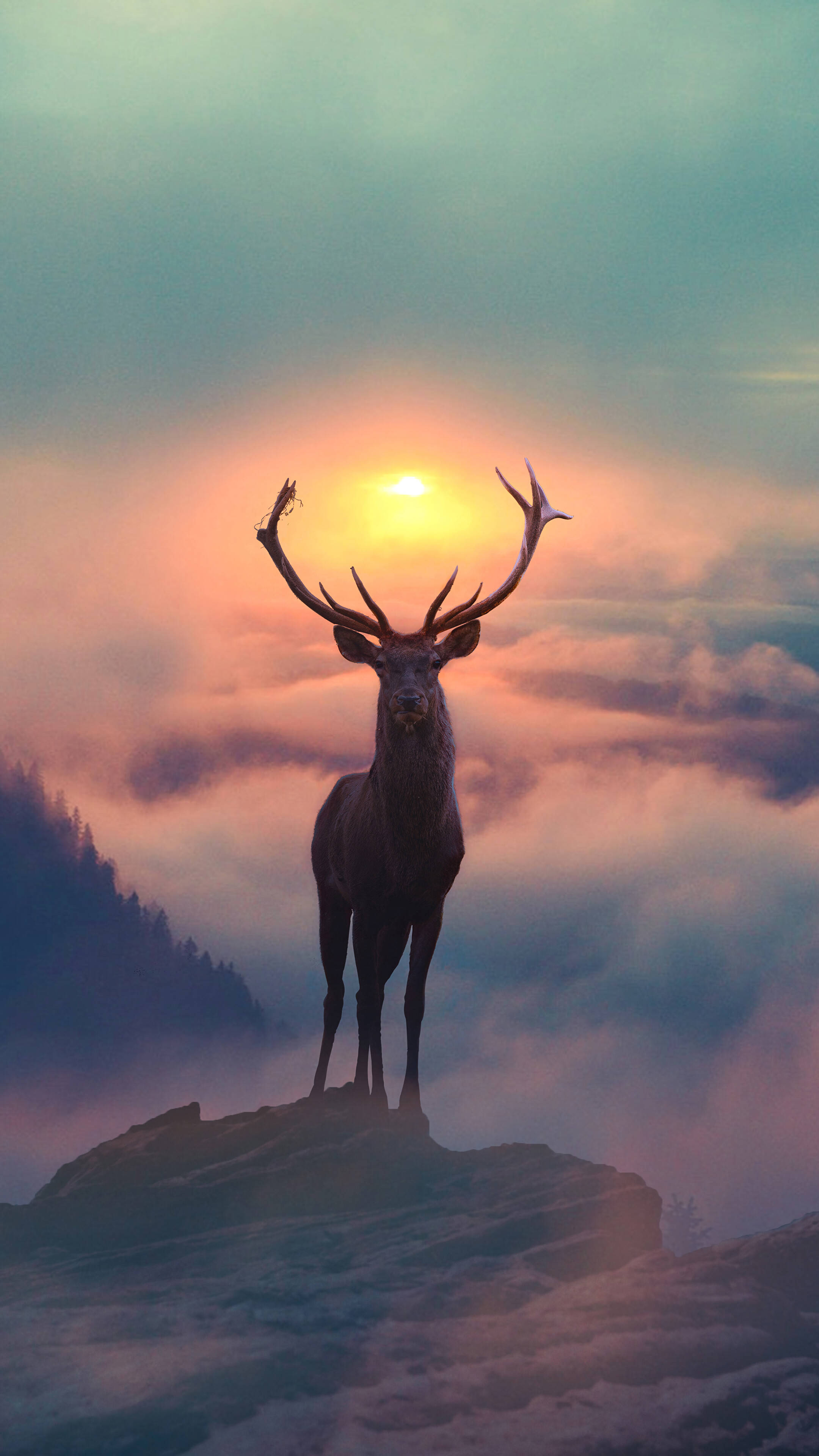 Deer iPhone, stag, misty mountain peak, 4K Phone Wallpaper