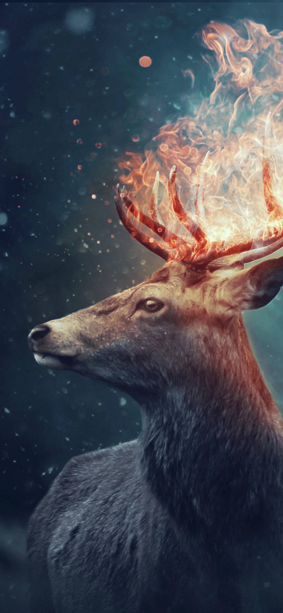 deer, fire, fiery antlers, Full HD Phone Wallpaper