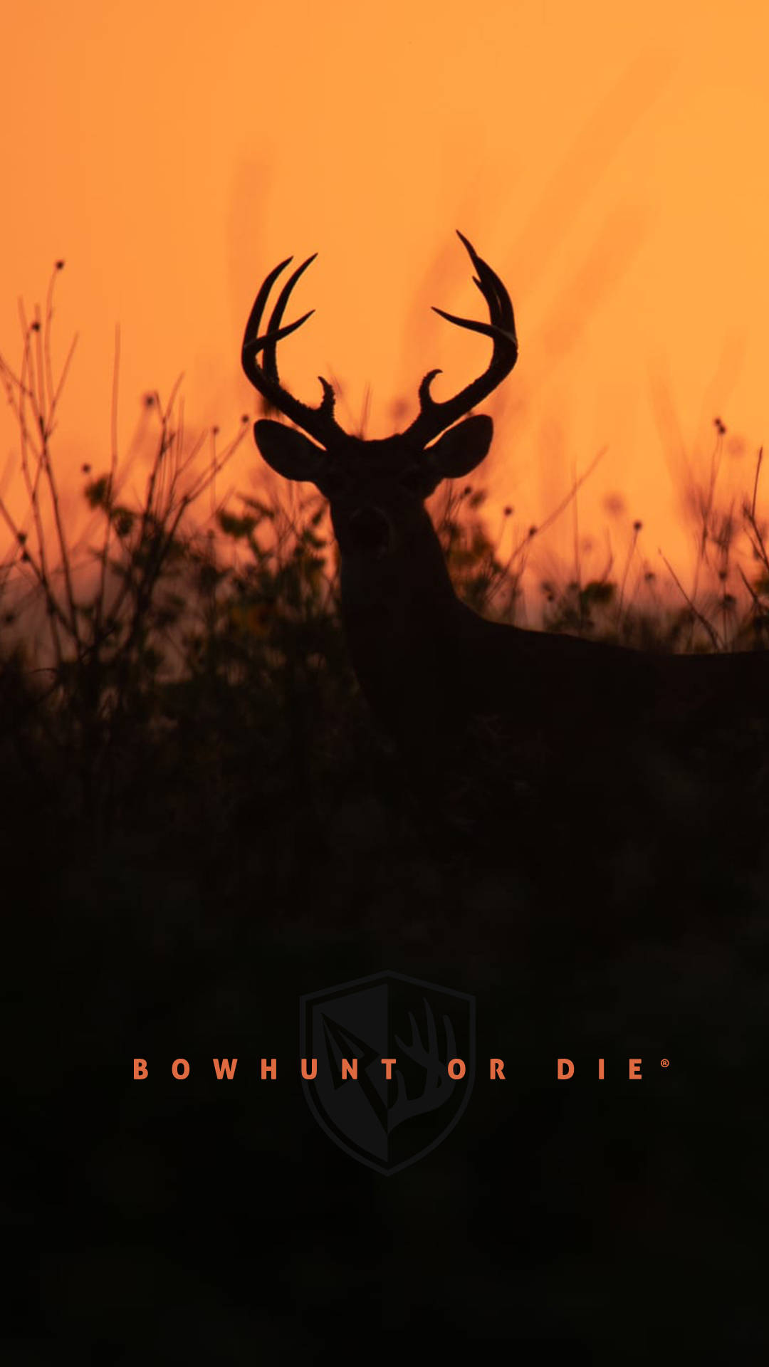 Deer iPhone, buck, large antlers, Full HD Phone Wallpaper