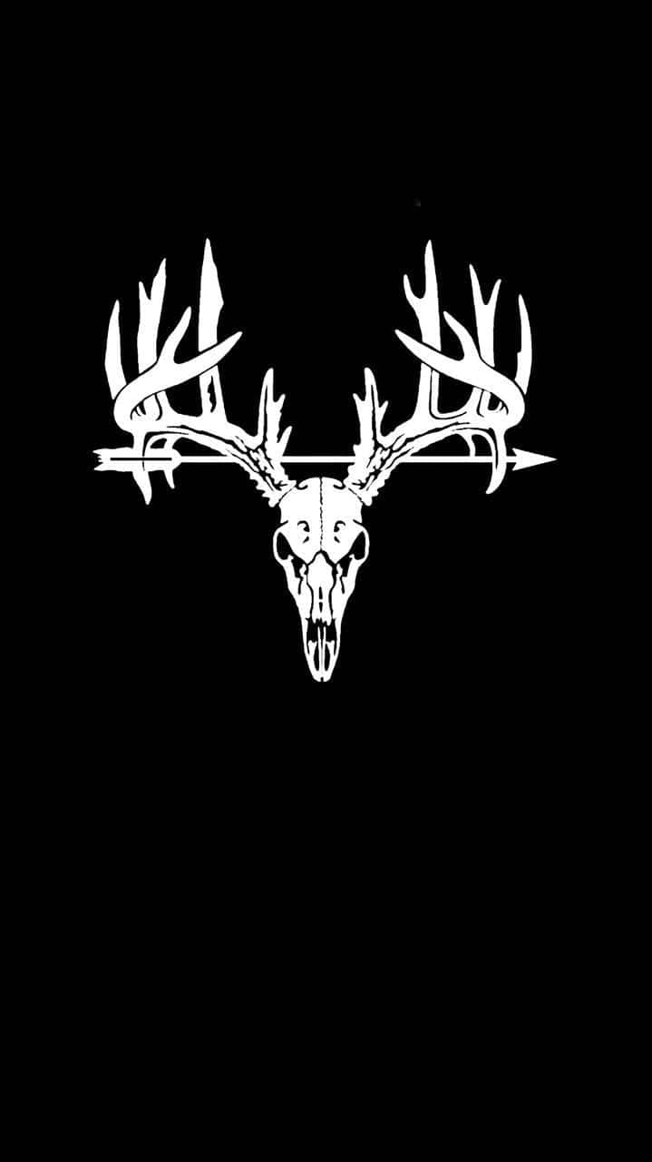 Cool Deer, deer skull, antlers, HD Phone Wallpaper