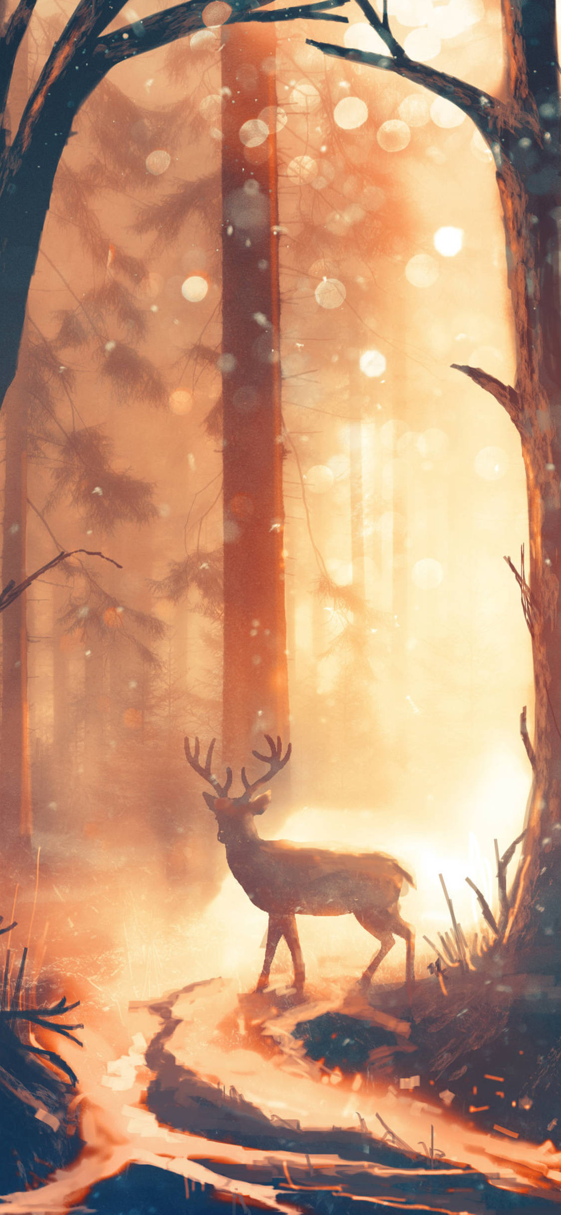 deer, forest, sunset, Full HD Phone Wallpaper