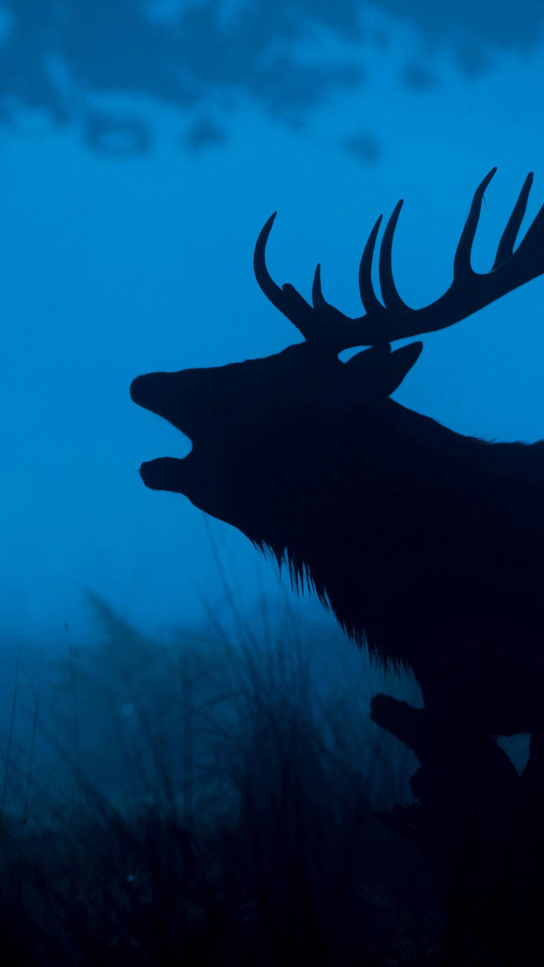 deer, stag, silhouette, Full HD Phone Wallpaper