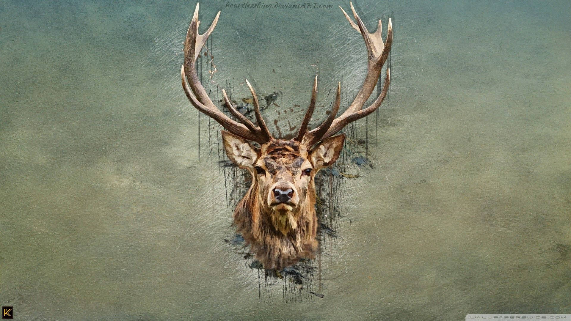 Deer, stag, large antlers, Full HD Desktop Wallpaper
