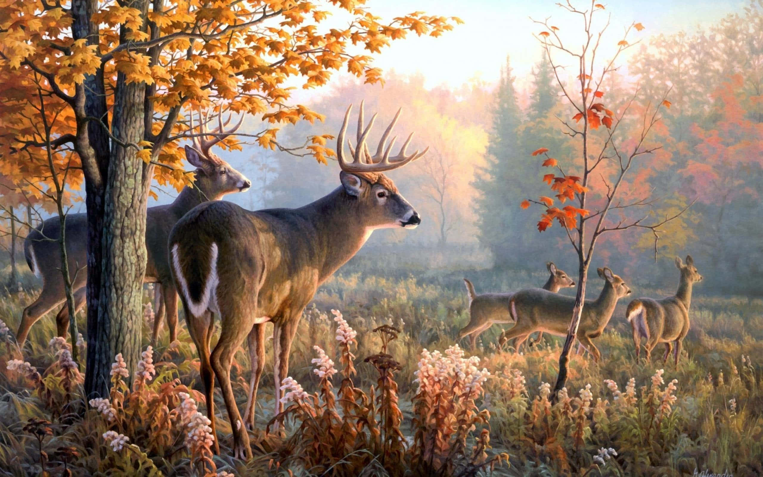 Deerling, autumn forest, golden leaves, 2K Desktop Wallpaper