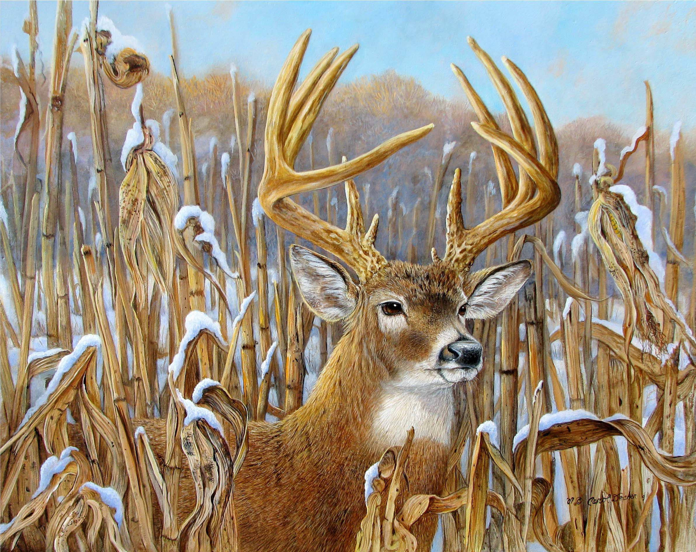 Deerling, corn field, snow, Full HD Desktop Wallpaper