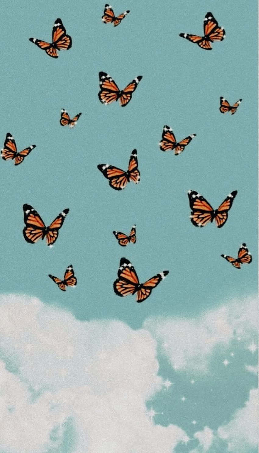Monarch butterflies, soft teal sky, fluffy clouds, HD Phone Wallpaper