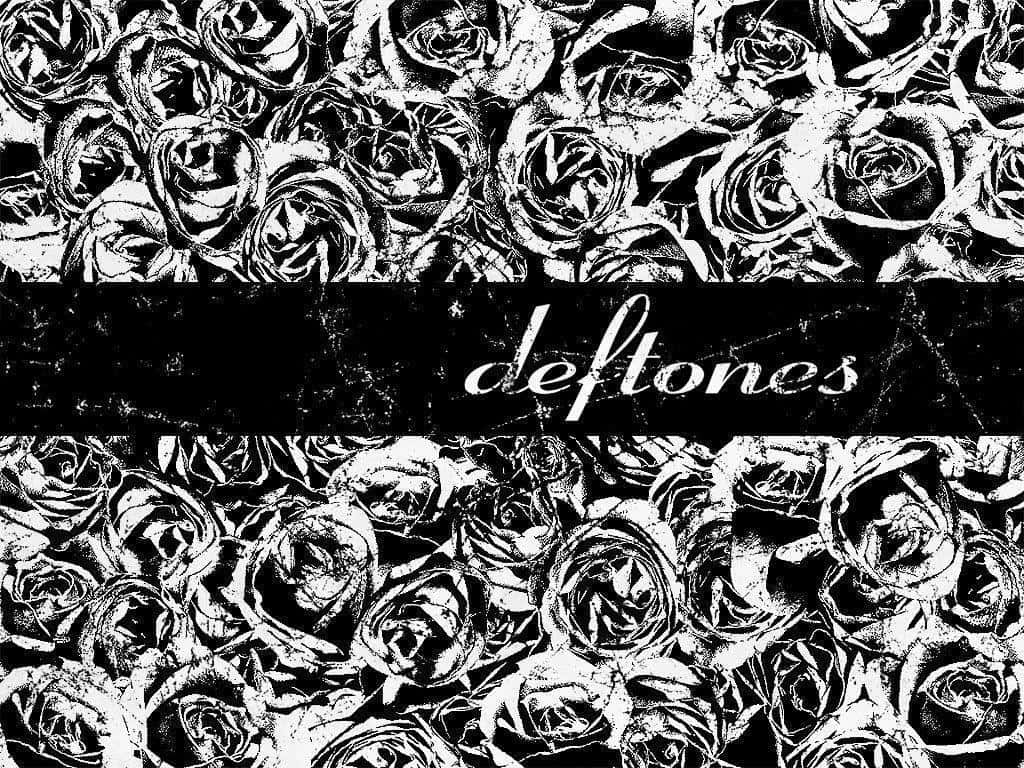 Deftones, black and white, dense roses, SD Desktop Wallpaper