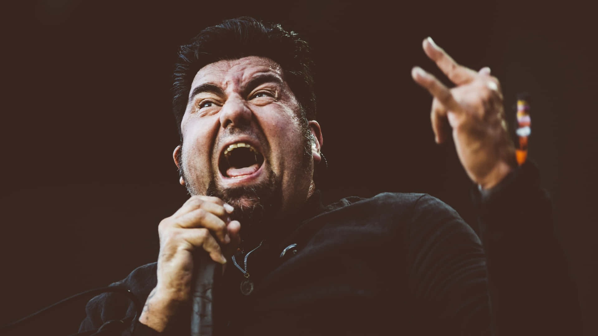 Deftones, singer, beard, Full HD Desktop Wallpaper