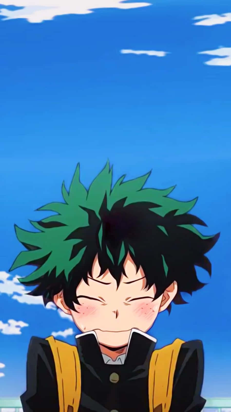 Deku, My Hero Academia Anime, spiky green and black hair, HD Phone Wallpaper