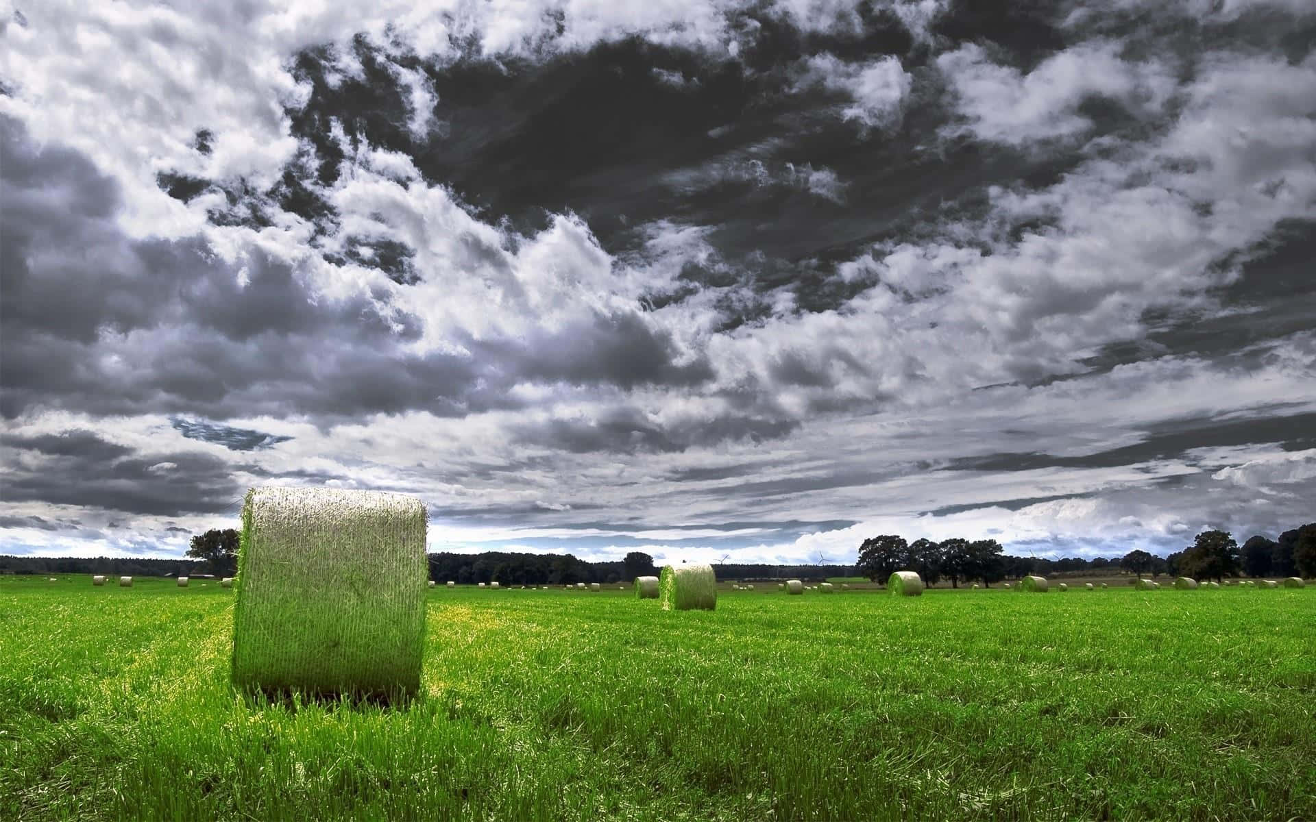 Delectable, green fields, hay bales, Full HD Desktop Wallpaper