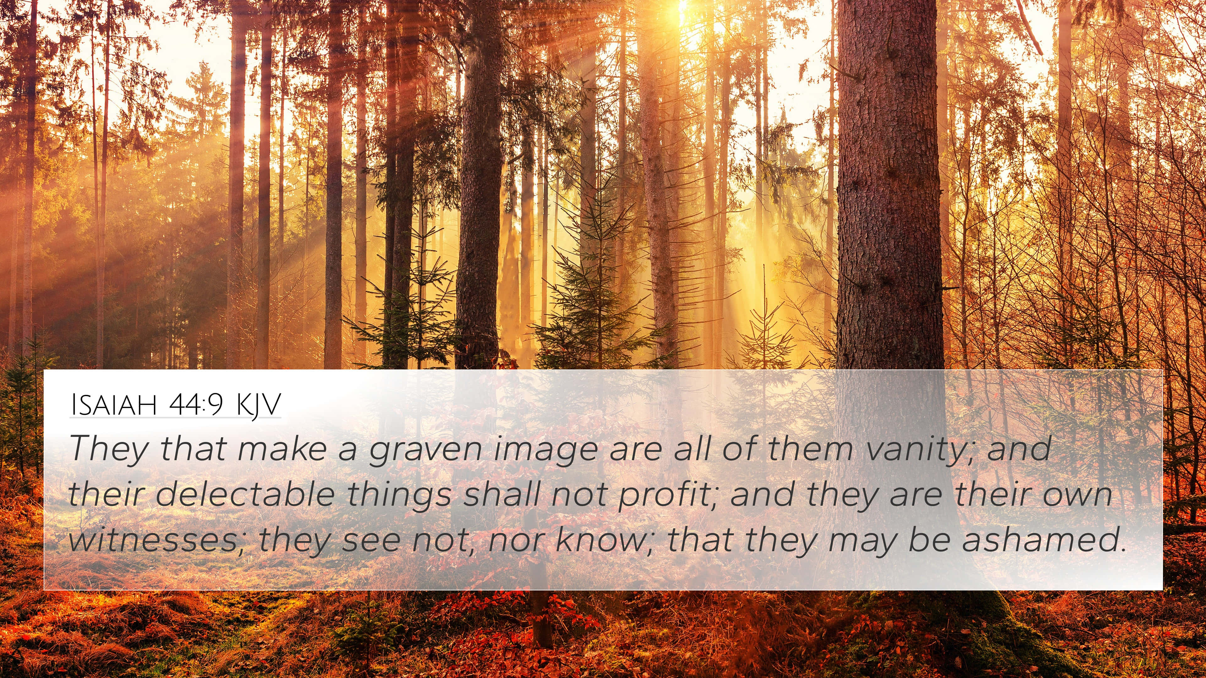 Delectable, Bible Quote, golden sunlight, 4K Desktop Wallpaper