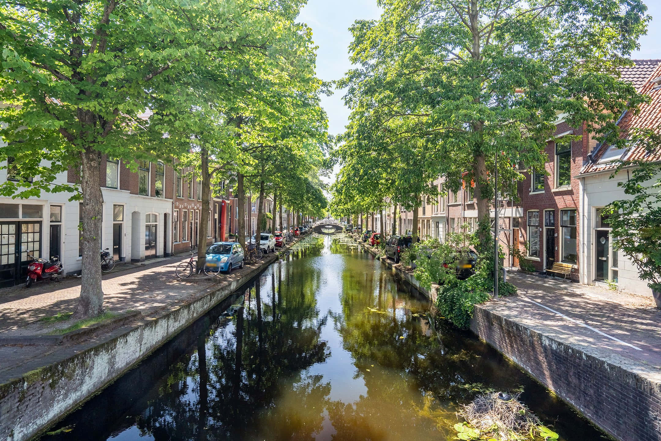 Delft, canal, tree lined street, Full HD Desktop Wallpaper