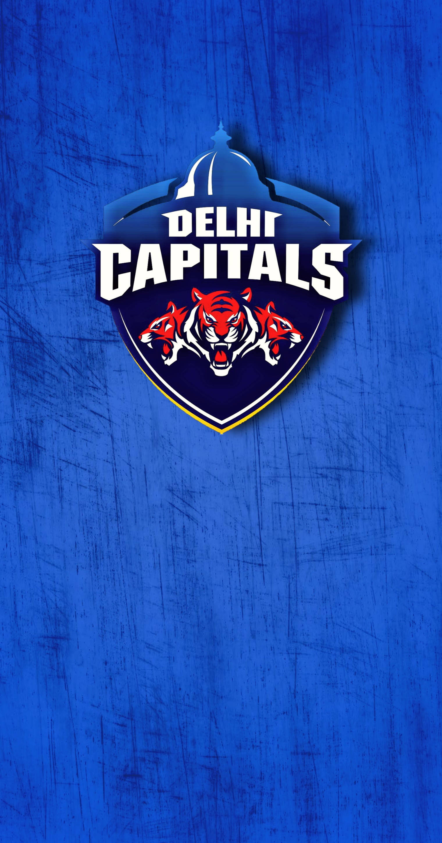 Delhi Capitals, three roaring tigers, textured blue background, 2K Phone Wallpaper