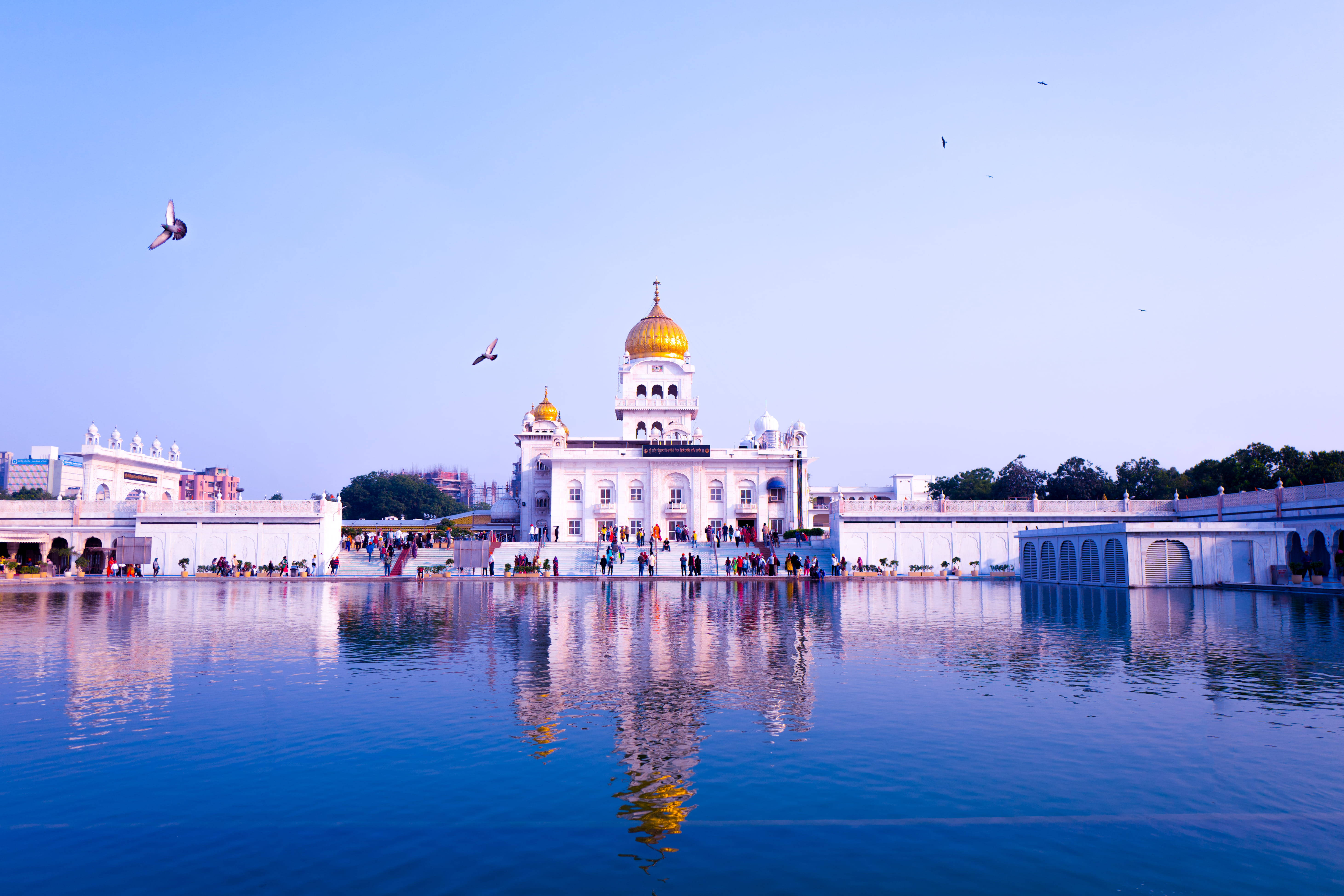 Delhi, gurudwara, golden-domed, 5K Desktop Wallpaper