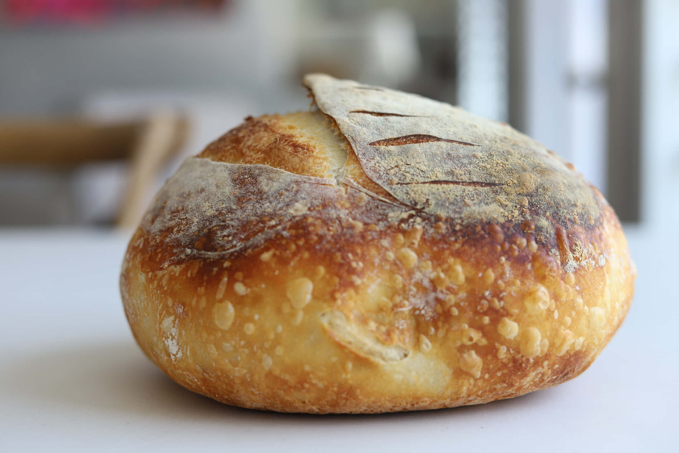 crusty circle burnt bread, artisan bread, golden crust, Full HD Desktop Wallpaper