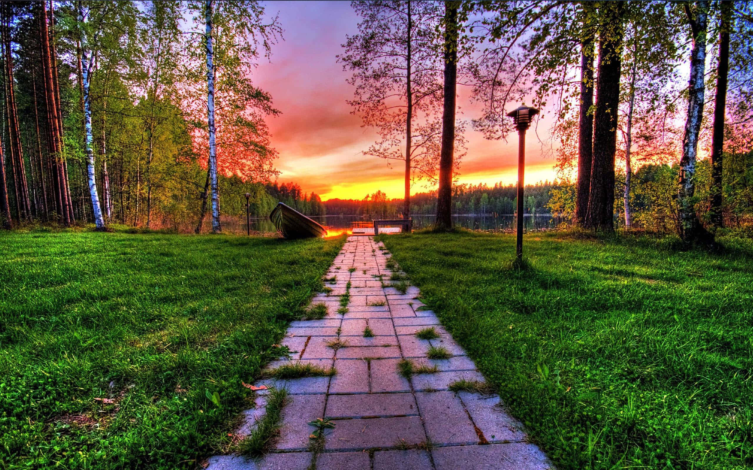 sunset, stone path, vibrant green grass, 2K Desktop Wallpaper