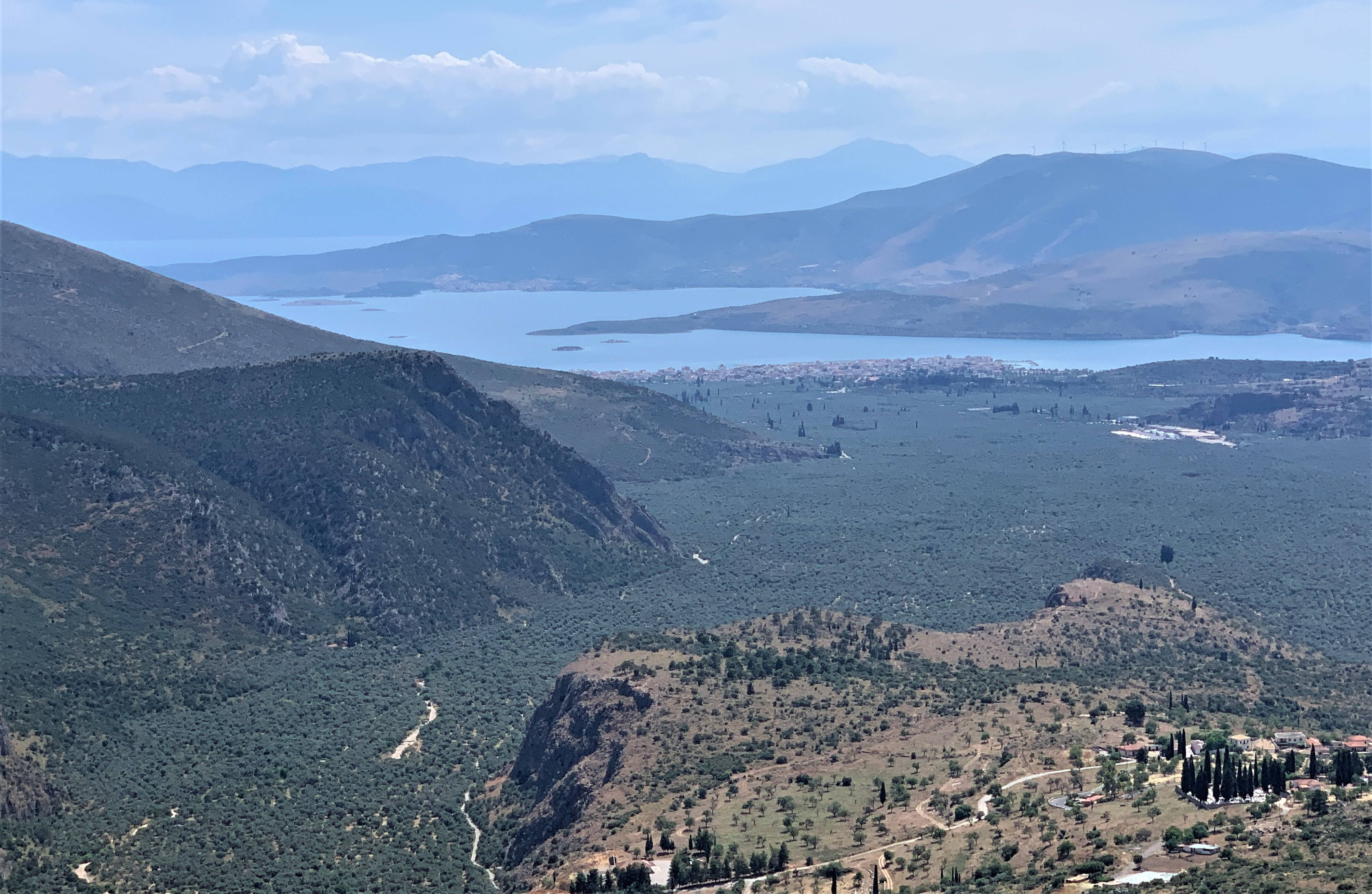 Delphi, sunlit valley, olive groves, 4K Desktop Wallpaper