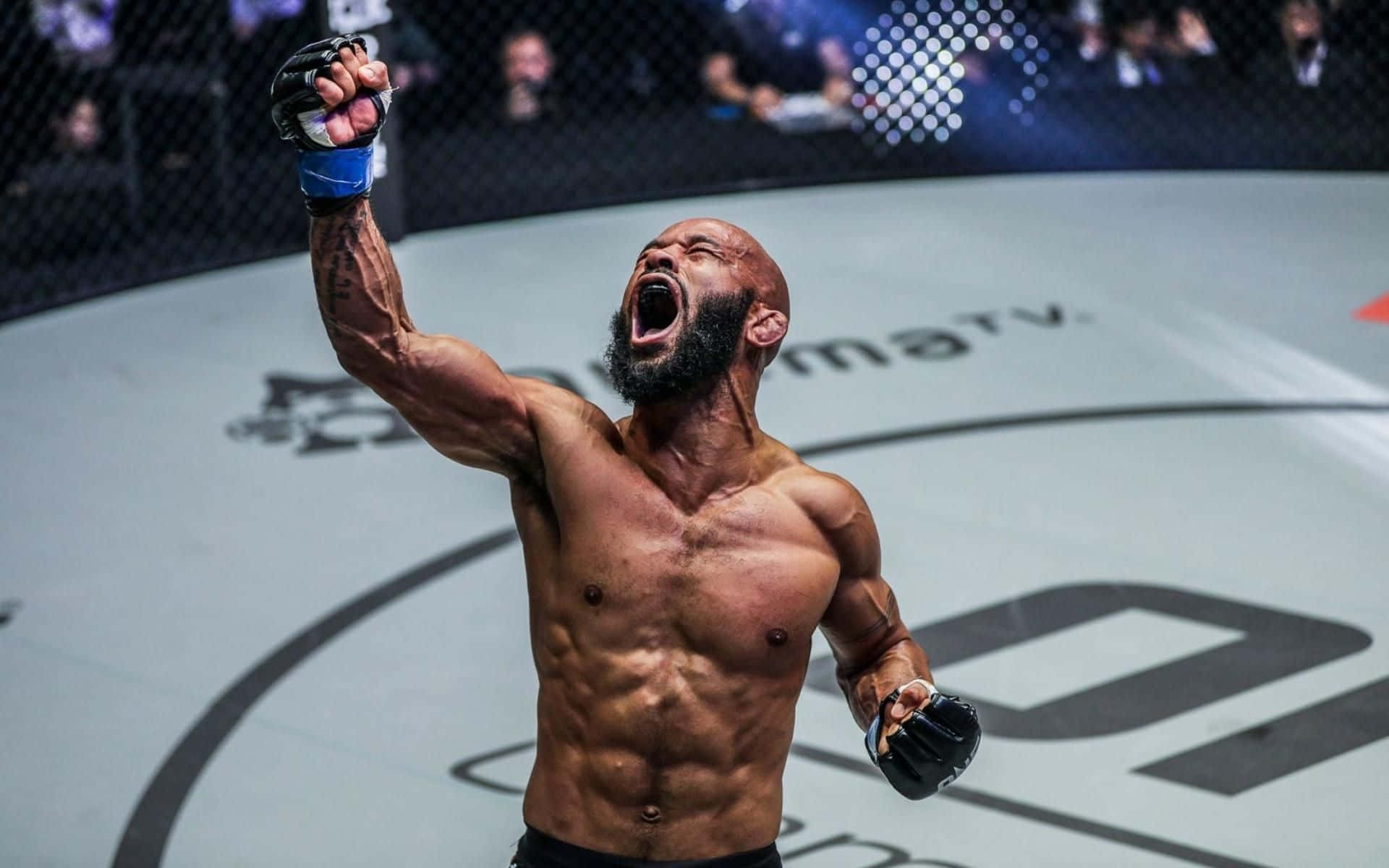 Demetrious Johnson, MMA fighter, cage, Full HD Desktop Wallpaper