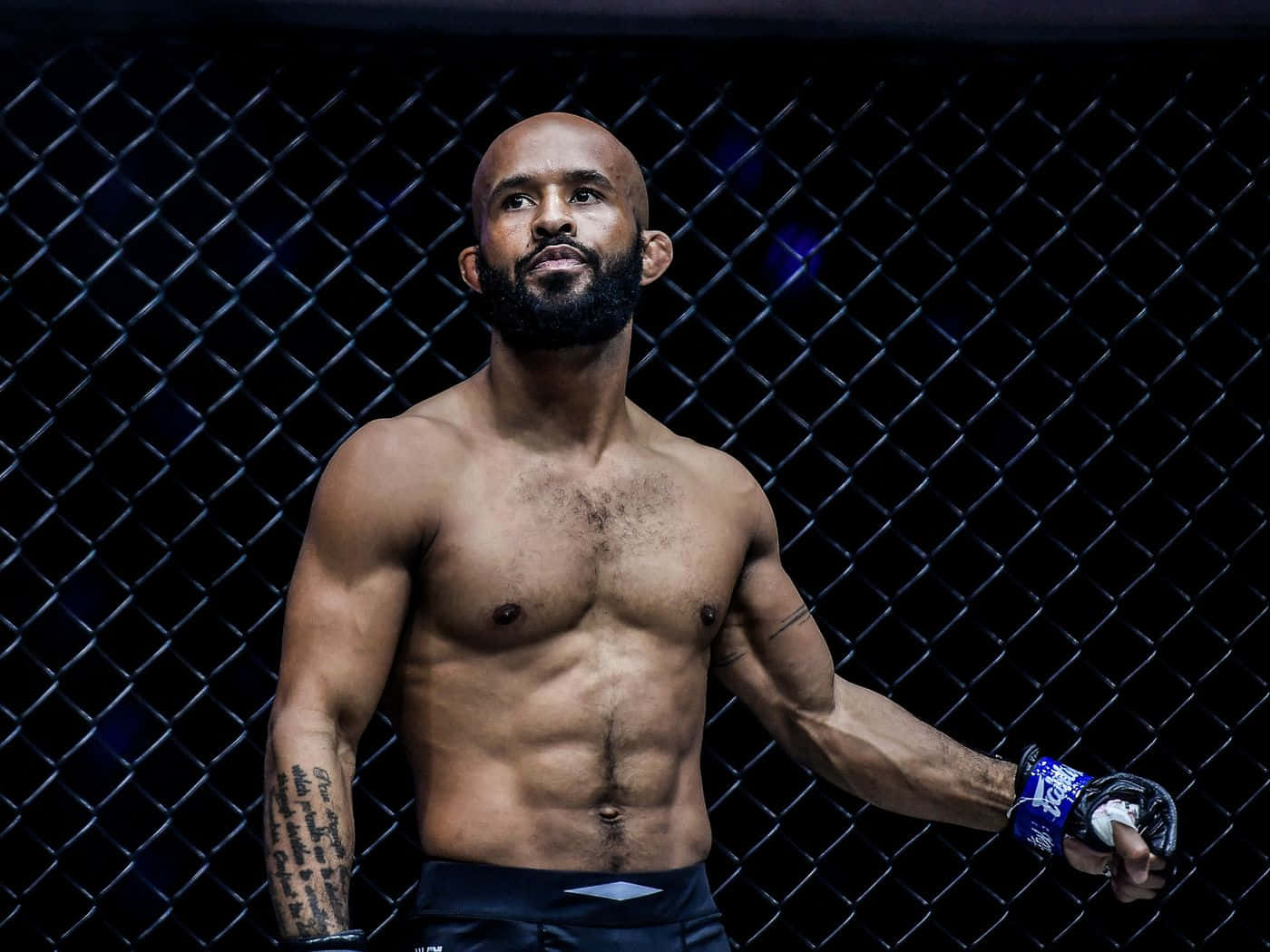 Demetrious Johnson, bald fighter, beard, HD Desktop Wallpaper