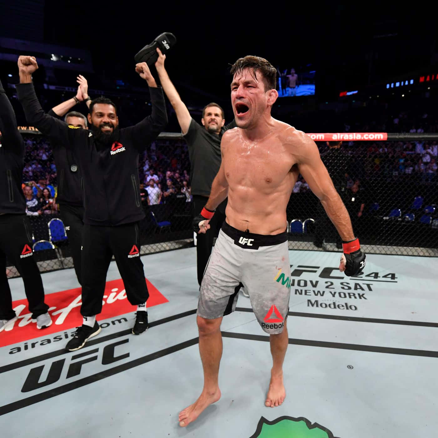Demian Maia, UFC fighters, octagon, HD Desktop Wallpaper