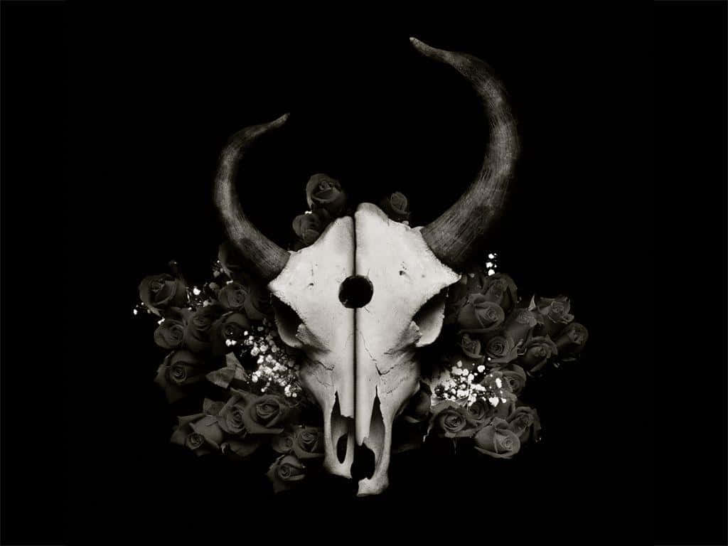 Demon Hunting, black and white, bull skull, SD Desktop Wallpaper