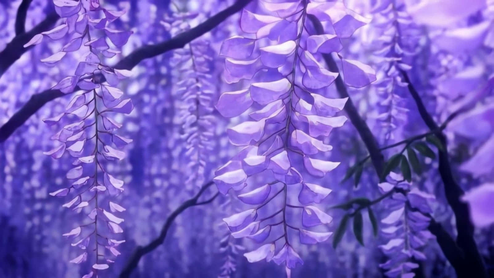 Demon Slayer, purple wisteria blossoms, dark branches, HD Desktop Wallpaper